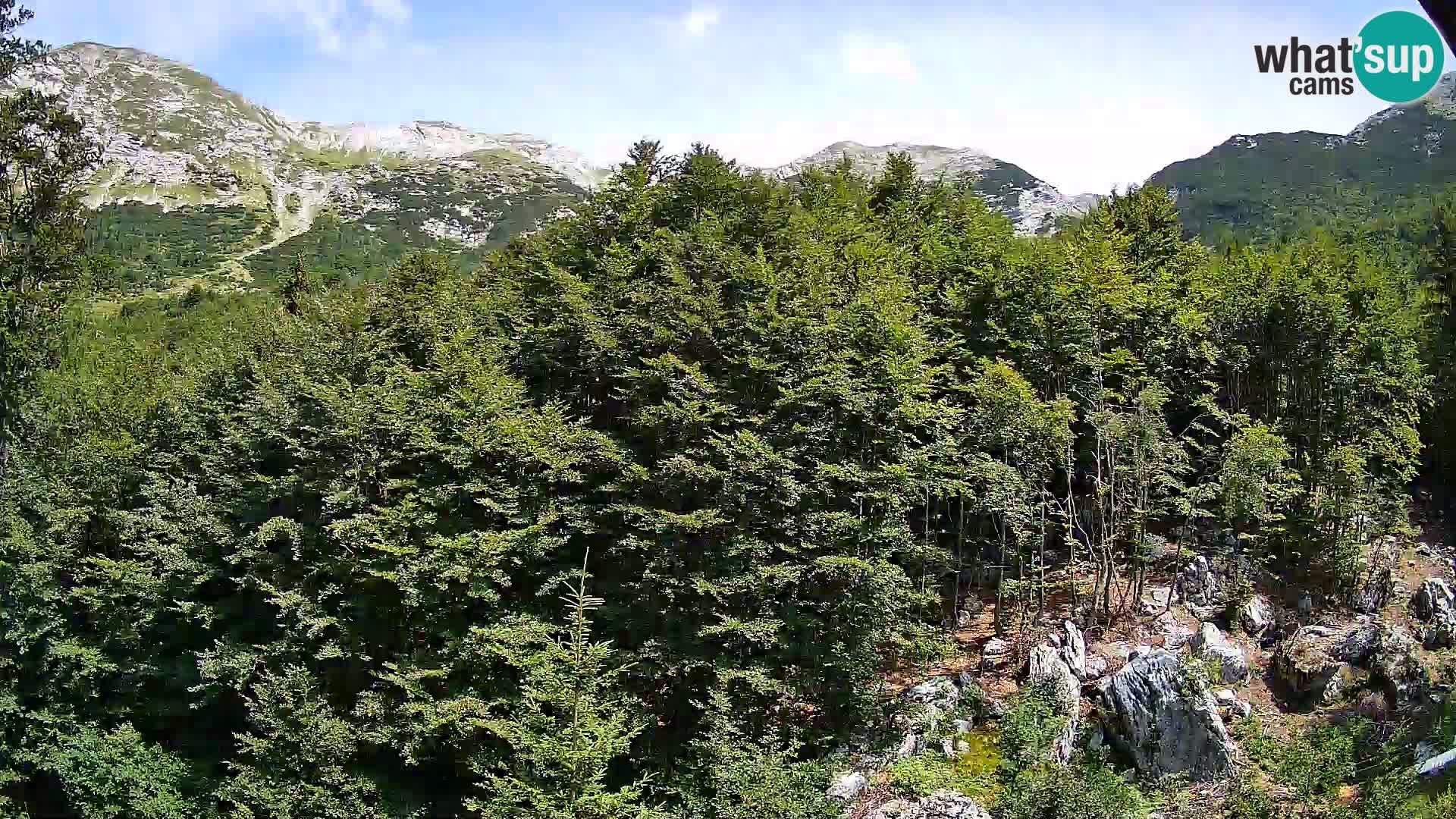 Cámara web PLANINA RAZOR (1315) | vista a Vogel y Globoko