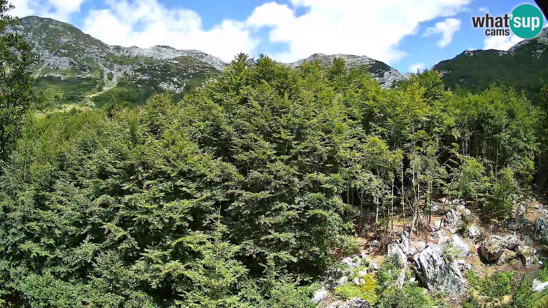 Webcam PLANINA RAZOR (1315) | Blick auf Vogel und Globoko