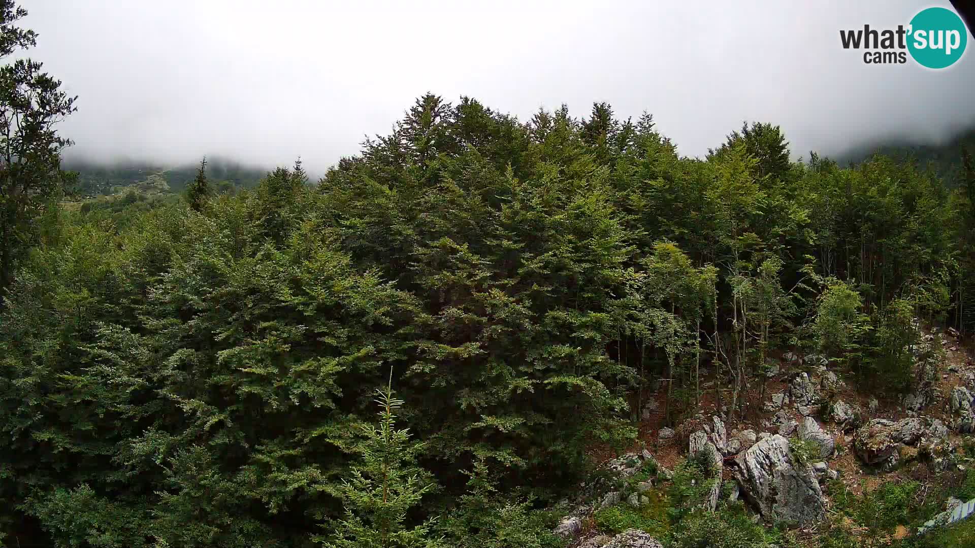 Webcam PLANINA RAZOR (1315) | Blick auf Vogel und Globoko