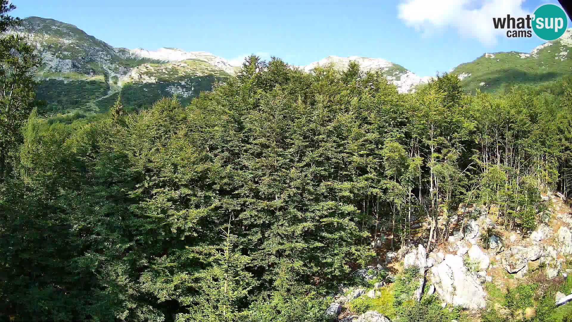 PLANINA RAZOR kamera (1315) | pogled na Vogel in Globoko