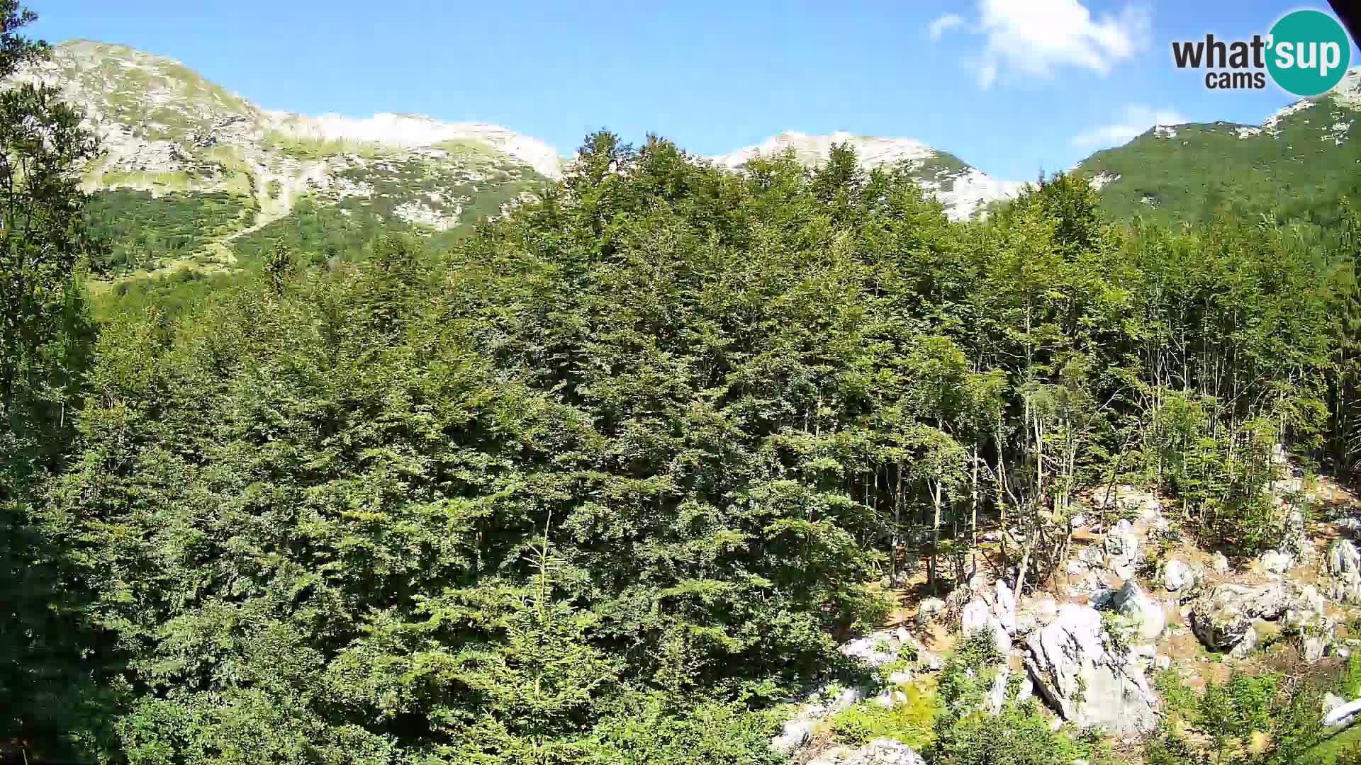 PLANINA RAZOR web kamera (1315) | pogled na Vogel i Globoko