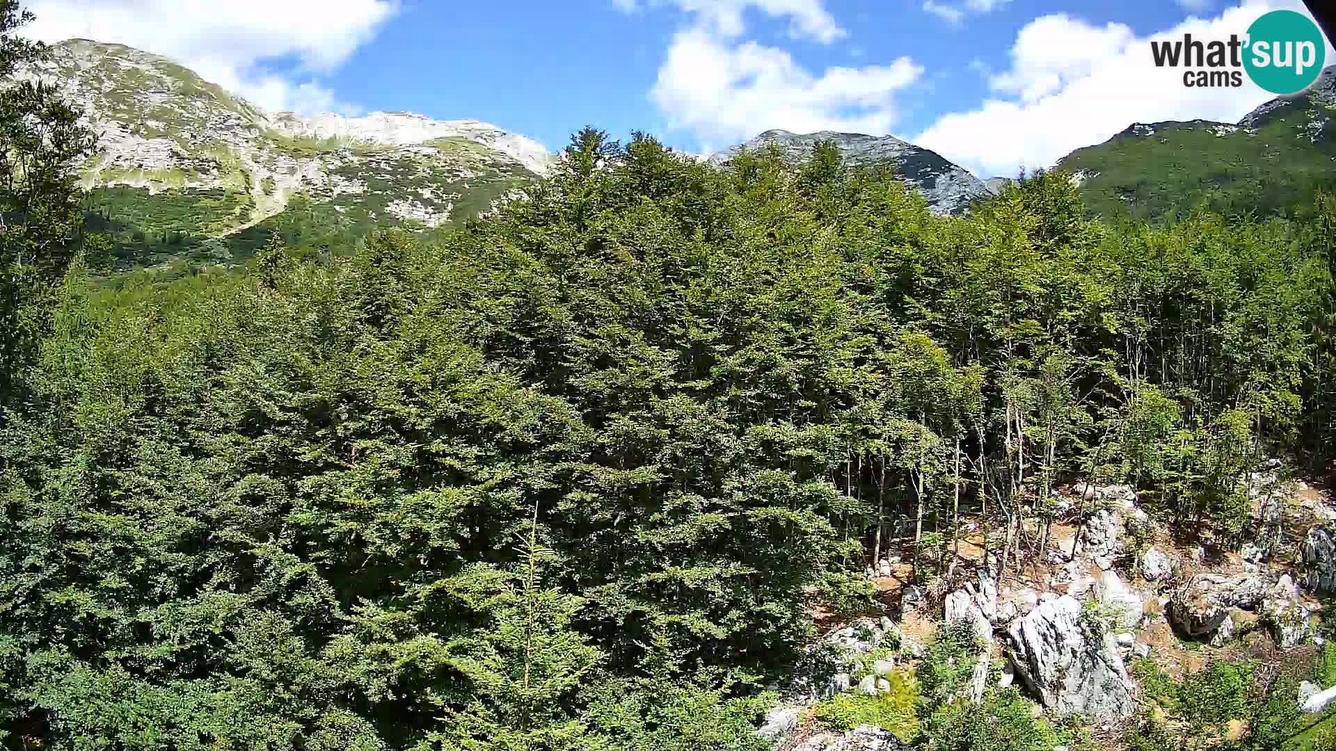 PLANINA RAZOR webcam (1315) | view to Vogel and Globoko