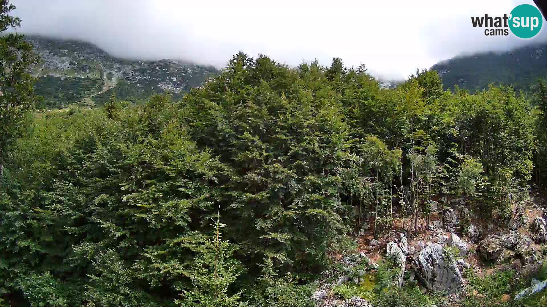 PLANINA RAZOR kamera (1315) | pogled na Vogel in Globoko