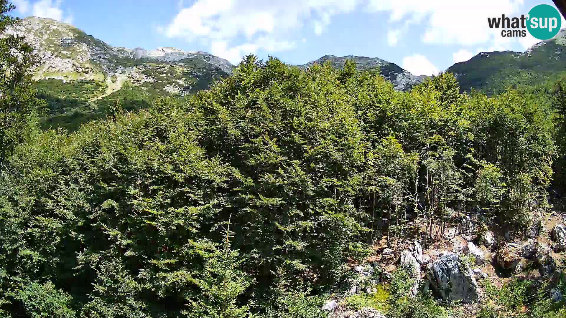 PLANINA RAZOR webcam (1315) | view to Vogel and Globoko