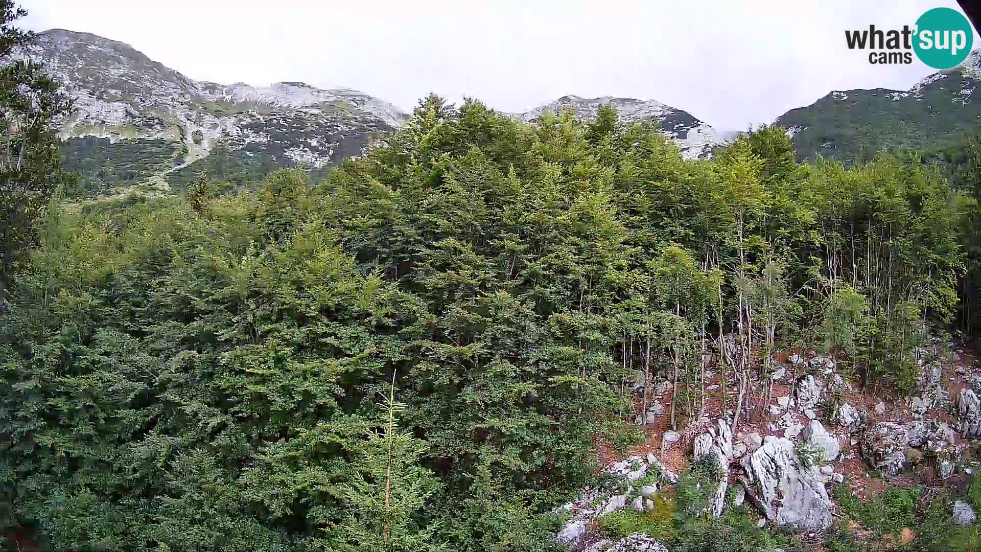 Livecam PLANINA RAZOR (1315) | vue sur Vogel et Globoko