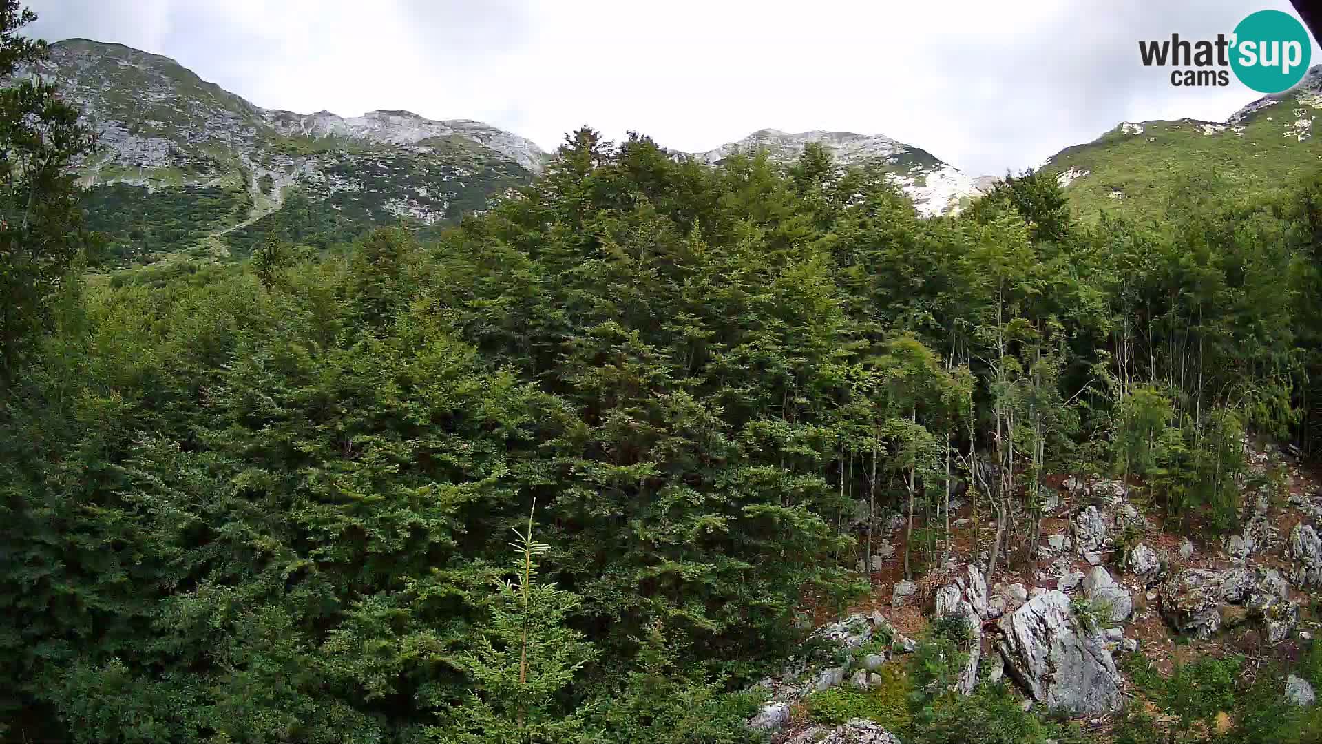 PLANINA RAZOR webcam (1315) | view to Vogel and Globoko