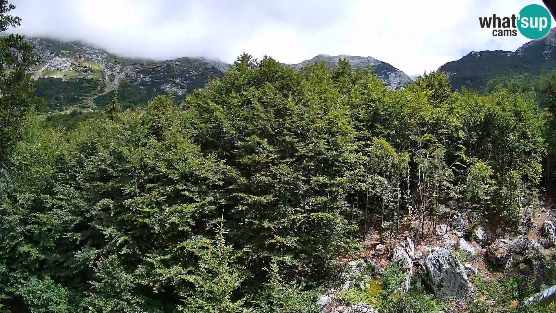PLANINA RAZOR webcam (1315) | view to Vogel and Globoko