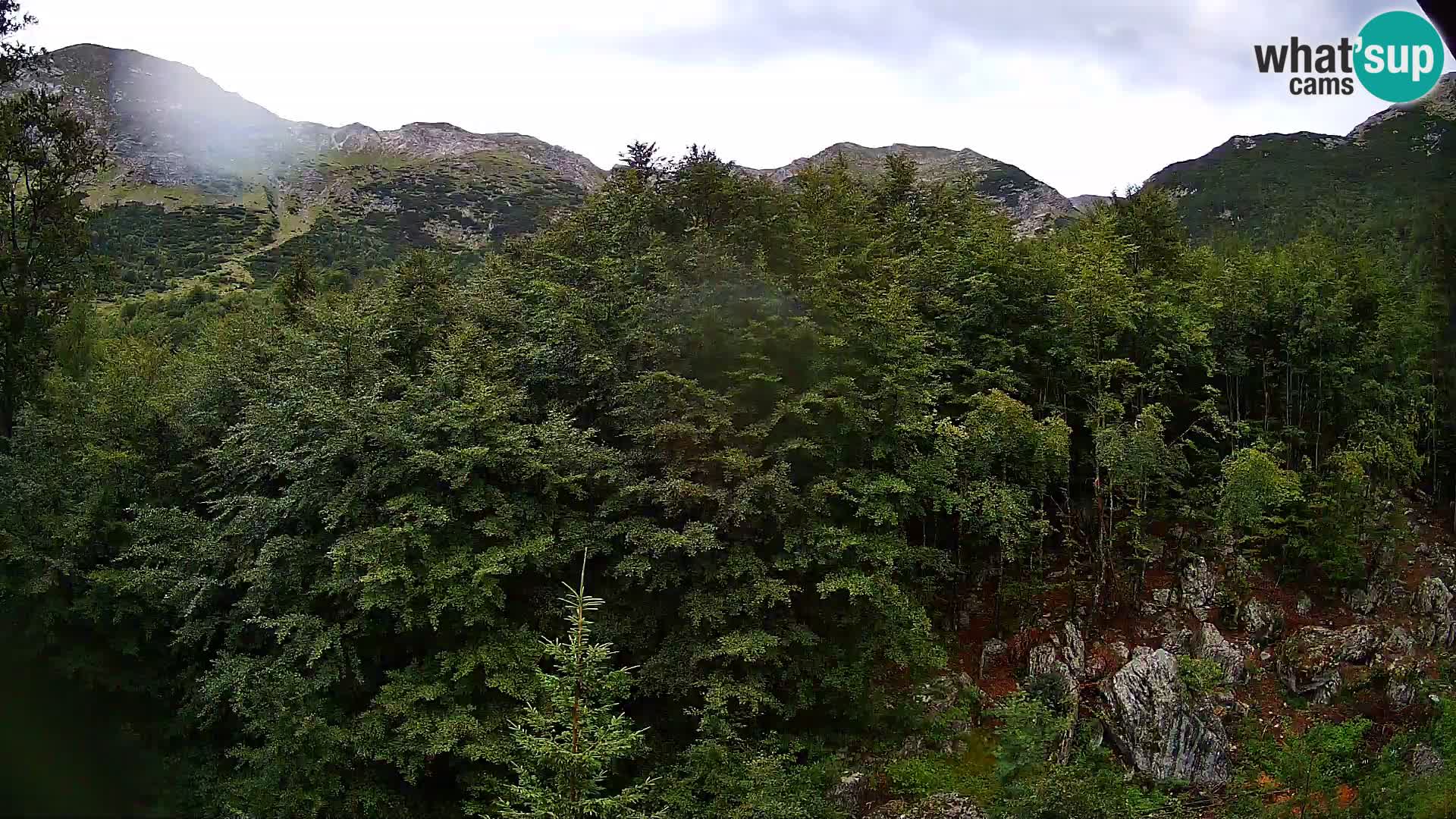 PLANINA RAZOR Live Cam (1315) | vista su Vogel e Globoko