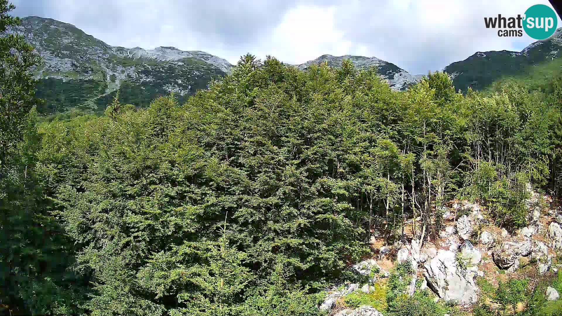 Livecam PLANINA RAZOR (1315) | vue sur Vogel et Globoko
