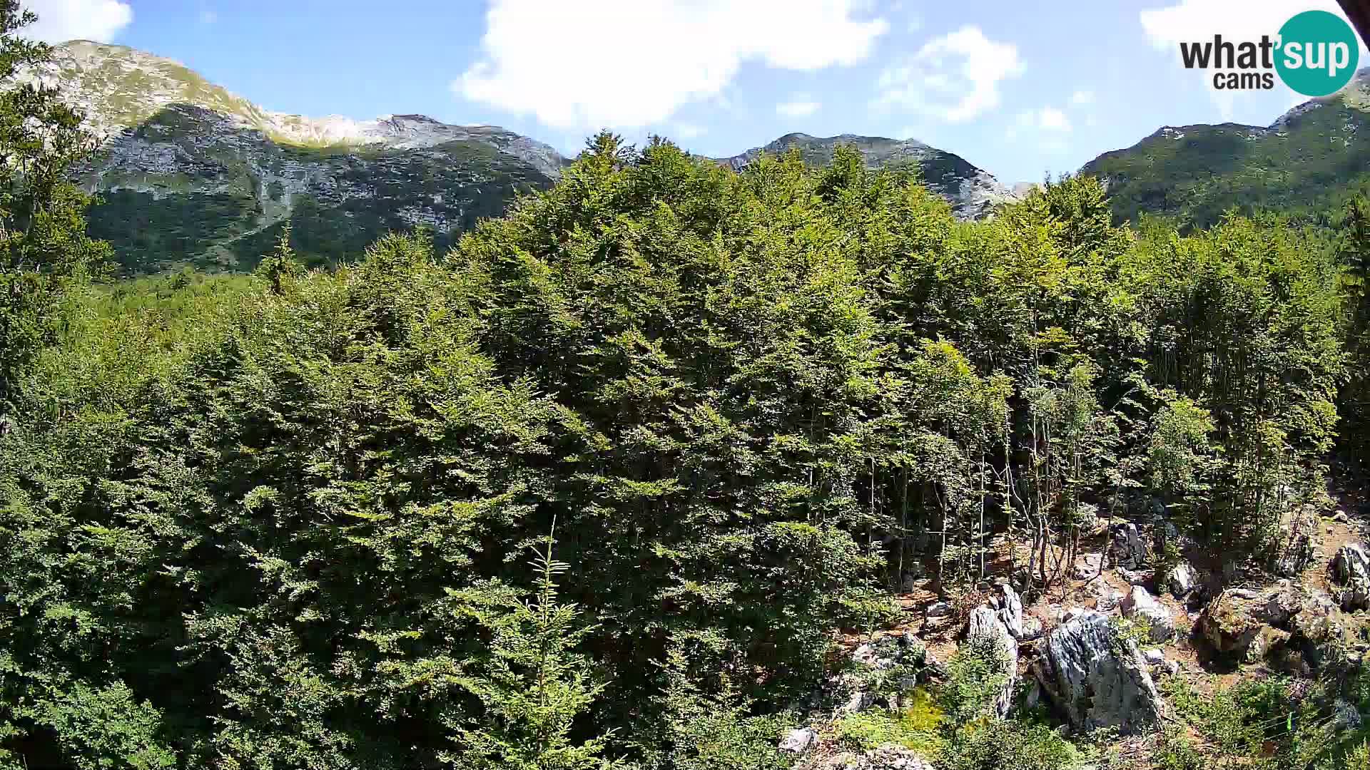 PLANINA RAZOR kamera (1315) | pogled na Vogel in Globoko