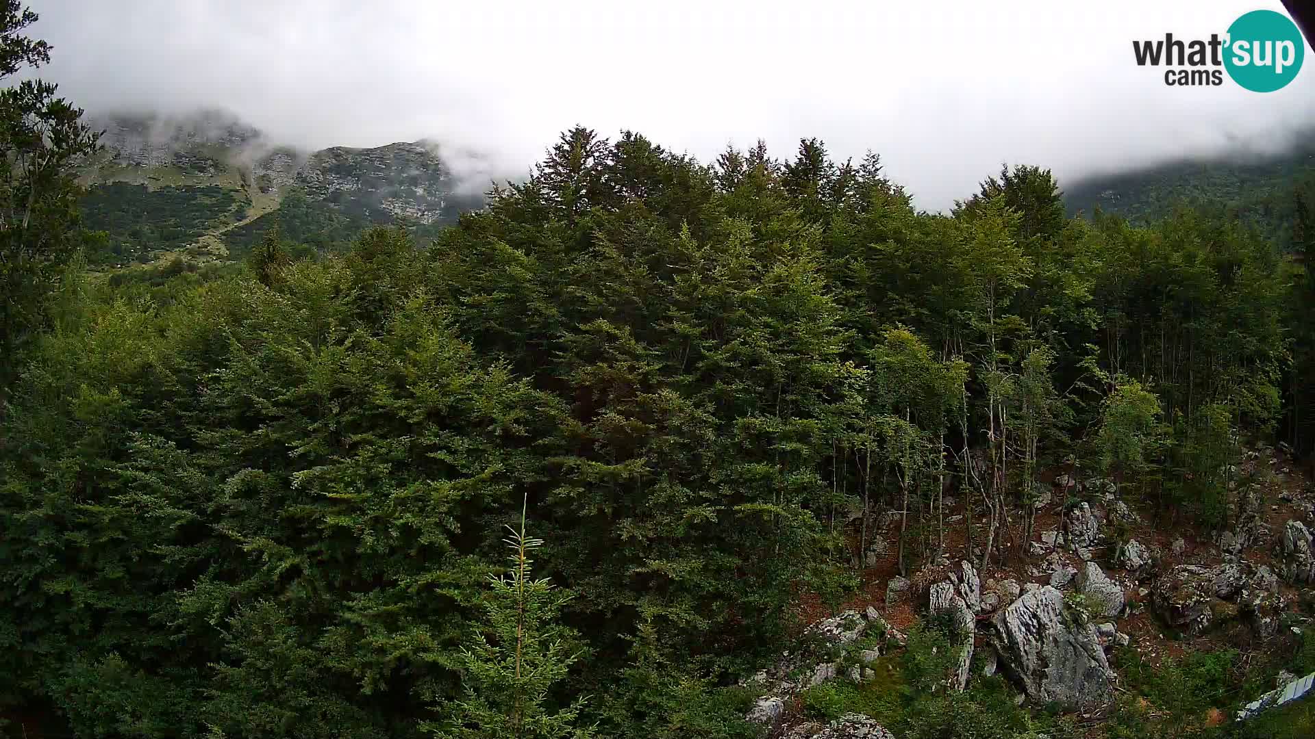 PLANINA RAZOR web kamera (1315) | pogled na Vogel i Globoko