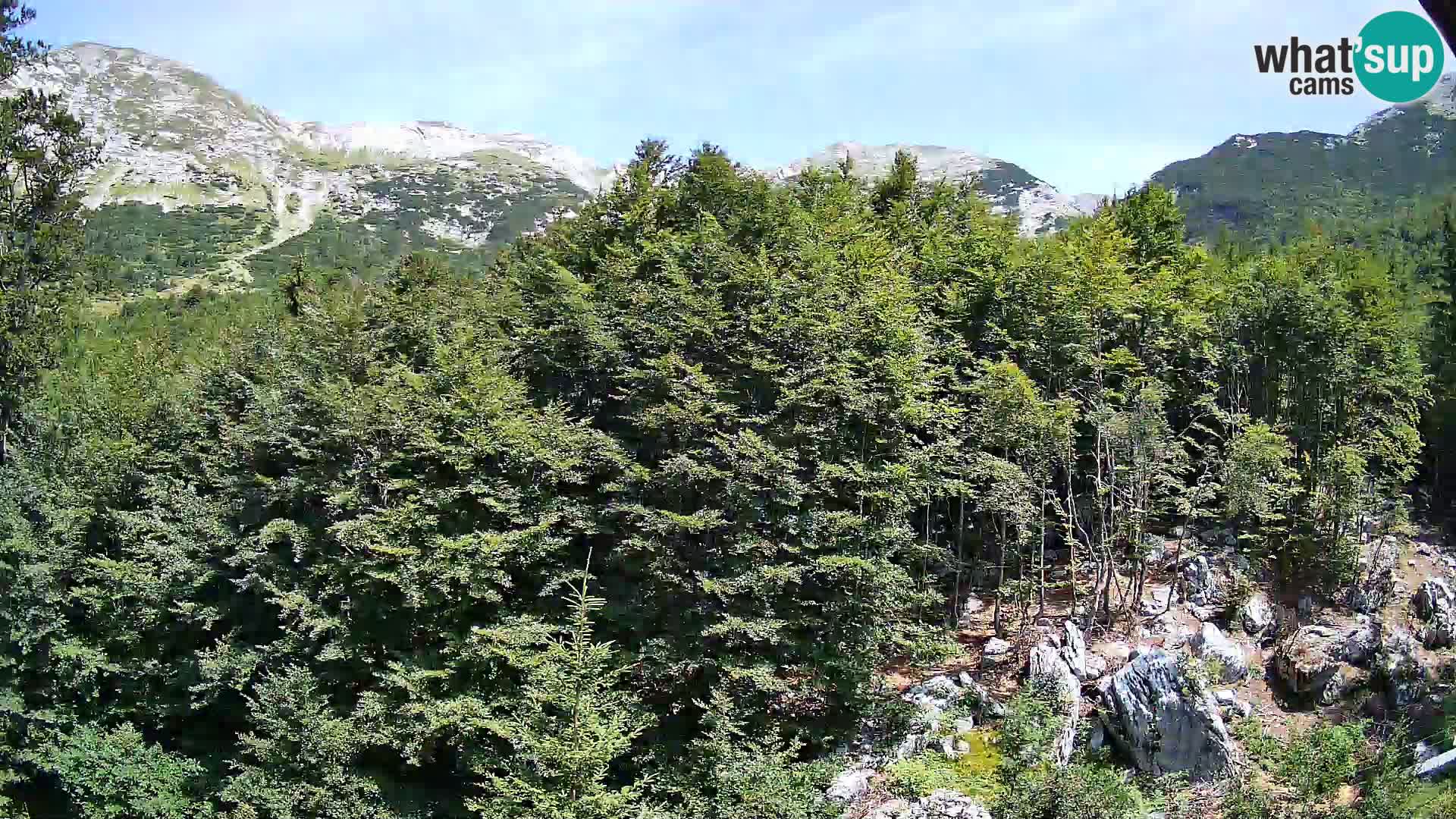 Webcam PLANINA RAZOR (1315) | Blick auf Vogel und Globoko