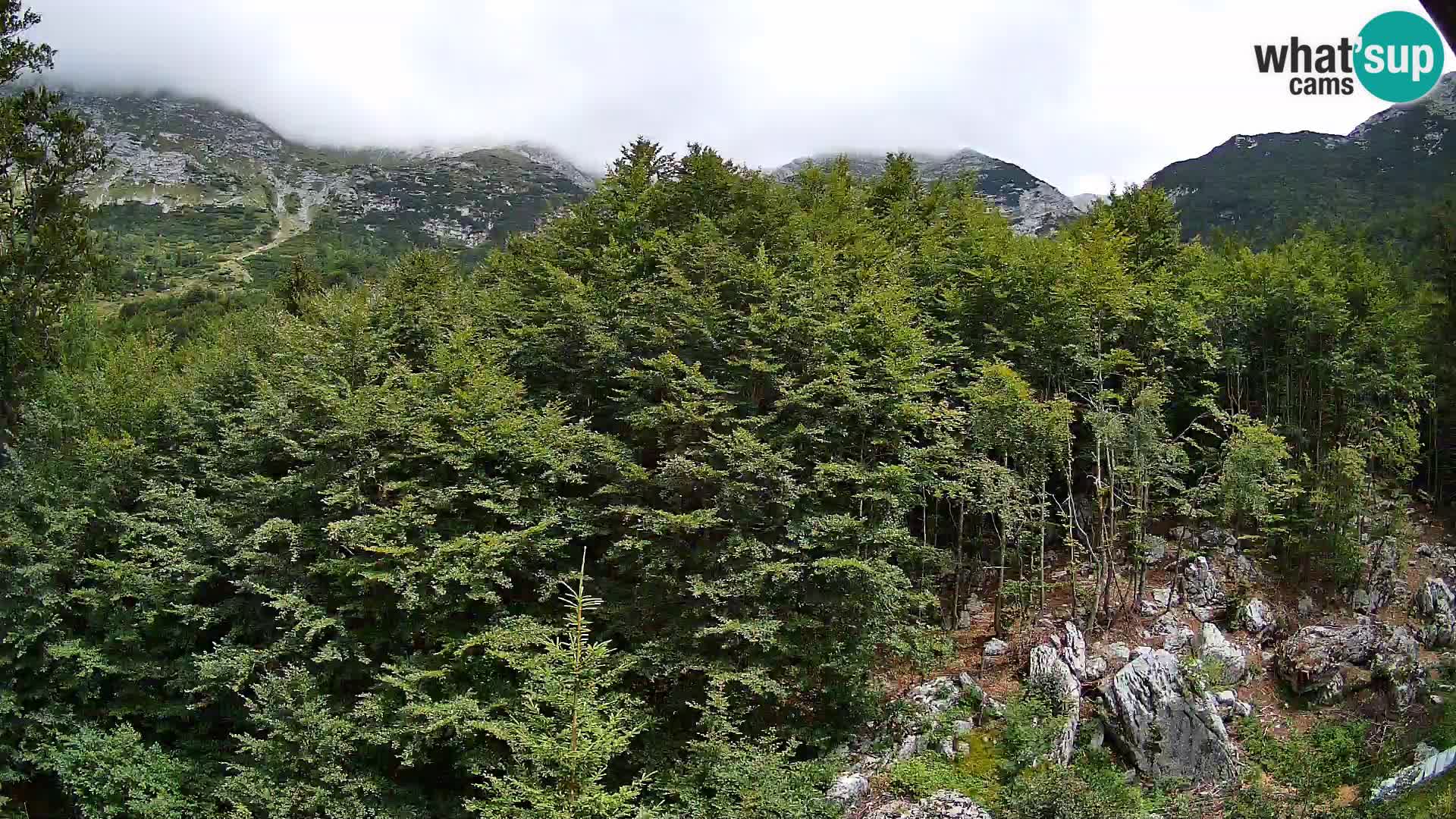 Webcam PLANINA RAZOR (1315) | Blick auf Vogel und Globoko