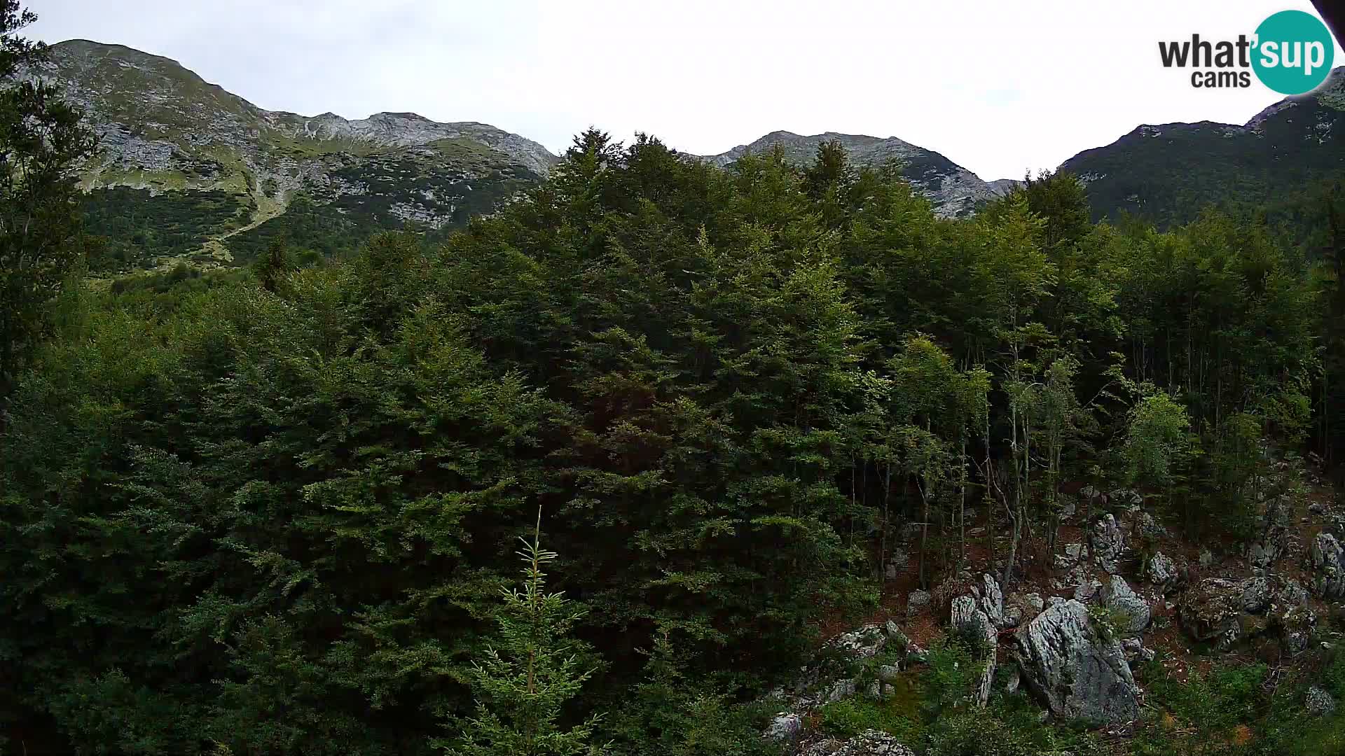 PLANINA RAZOR webcam (1315) | view to Vogel and Globoko