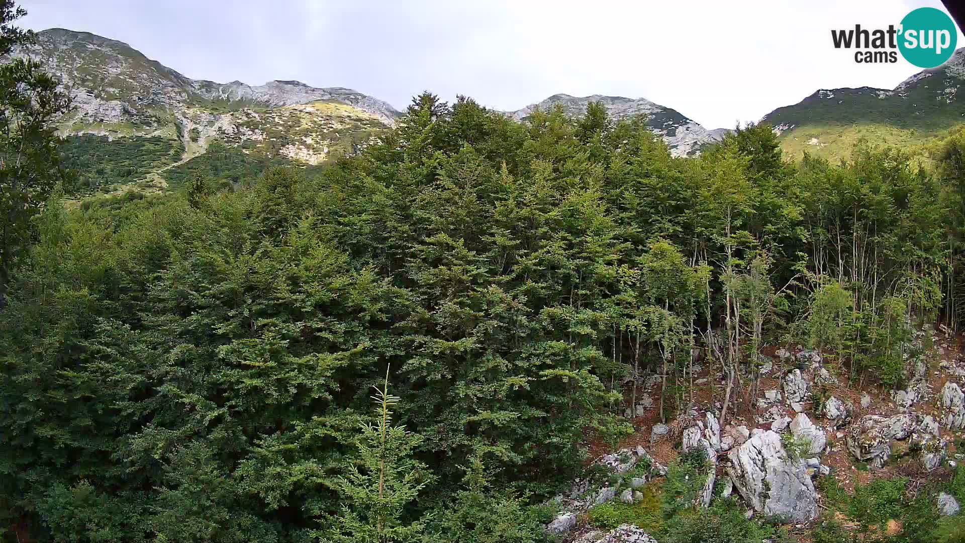 Webcam PLANINA RAZOR (1315) | Blick auf Vogel und Globoko