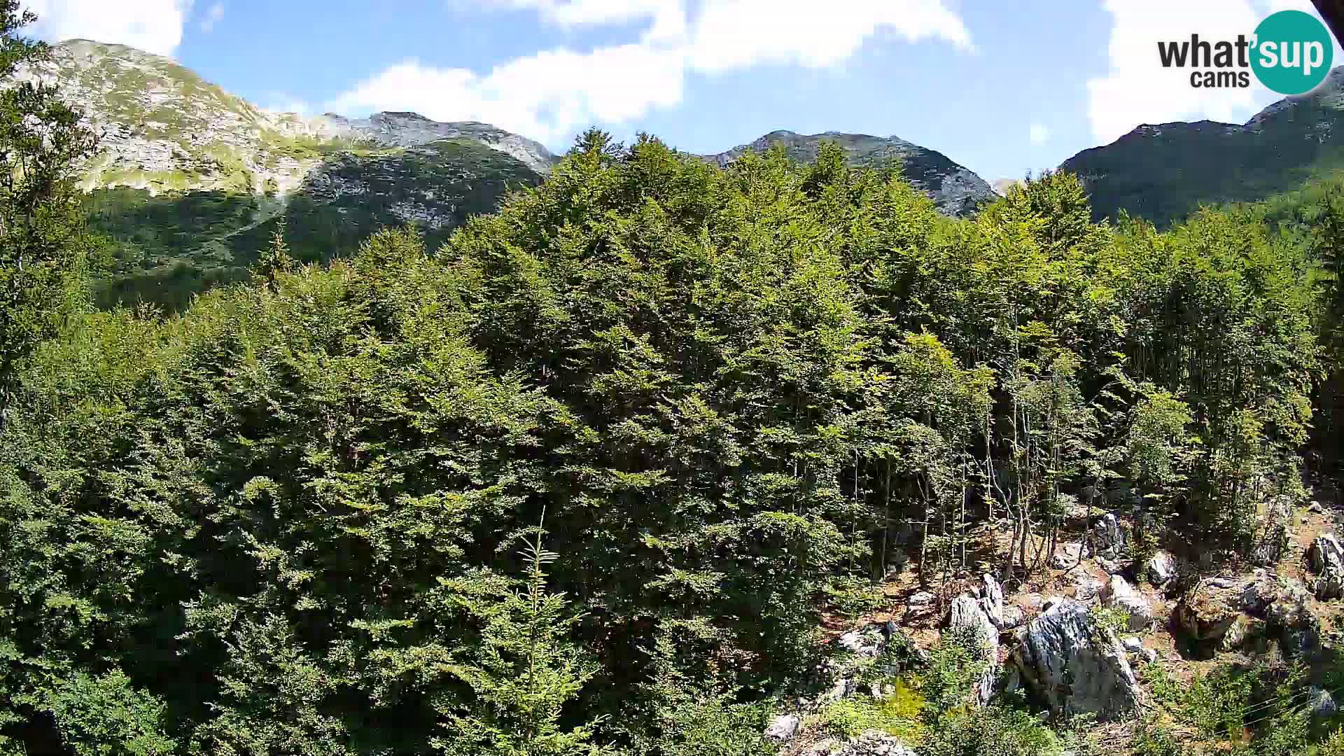 PLANINA RAZOR web kamera (1315) | pogled na Vogel i Globoko