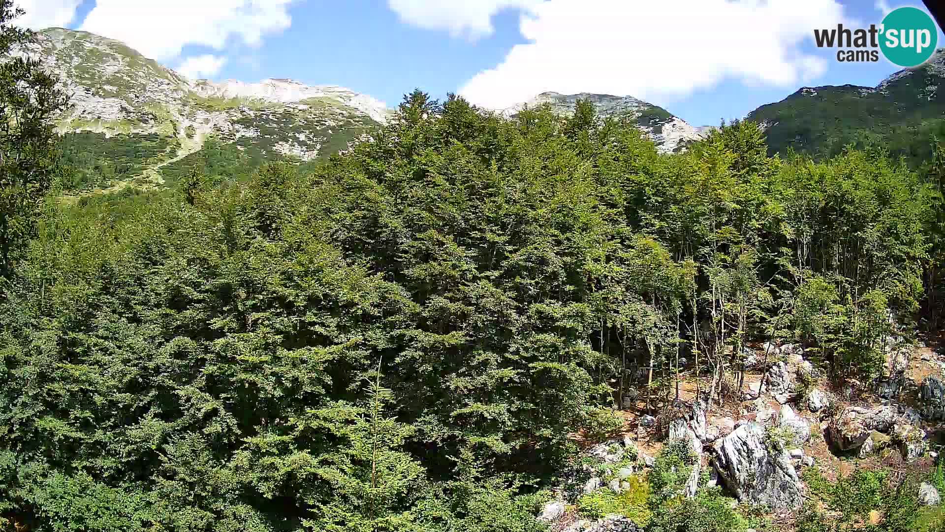 Cámara web PLANINA RAZOR (1315) | vista a Vogel y Globoko