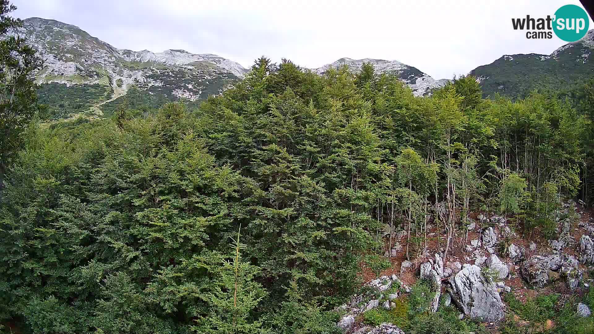 PLANINA RAZOR Live Cam (1315) | vista su Vogel e Globoko
