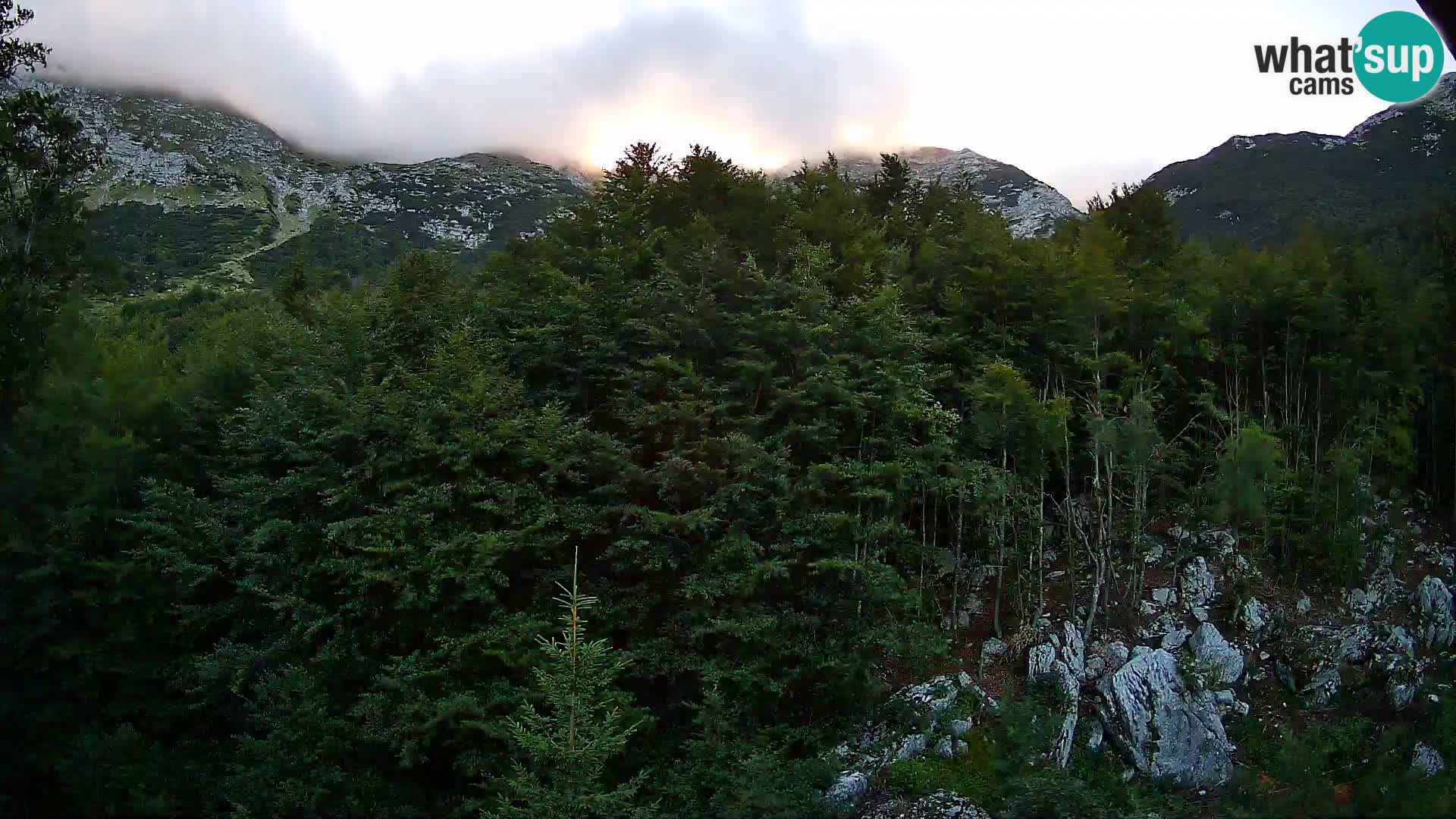 PLANINA RAZOR webcam (1315) | view to Vogel and Globoko