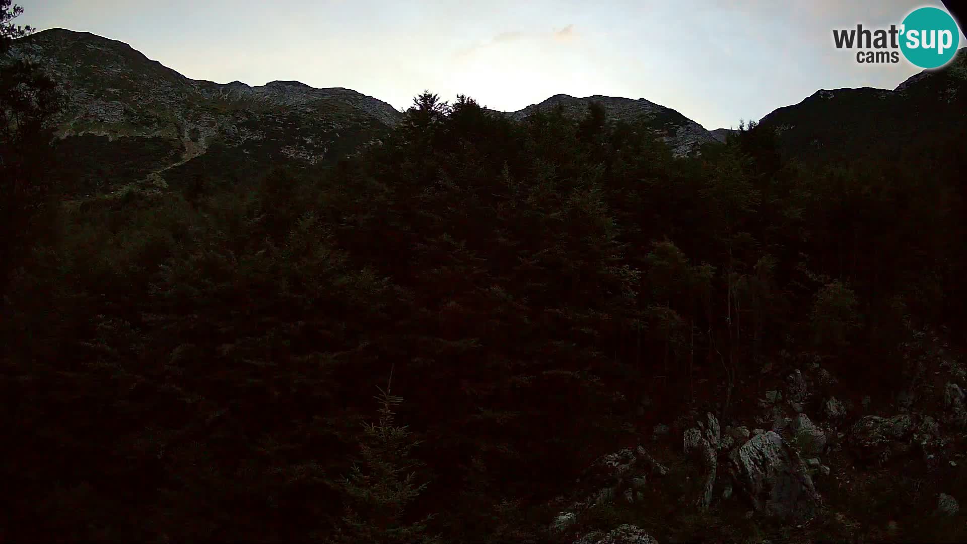 Webcam PLANINA RAZOR (1315) | Blick auf Vogel und Globoko