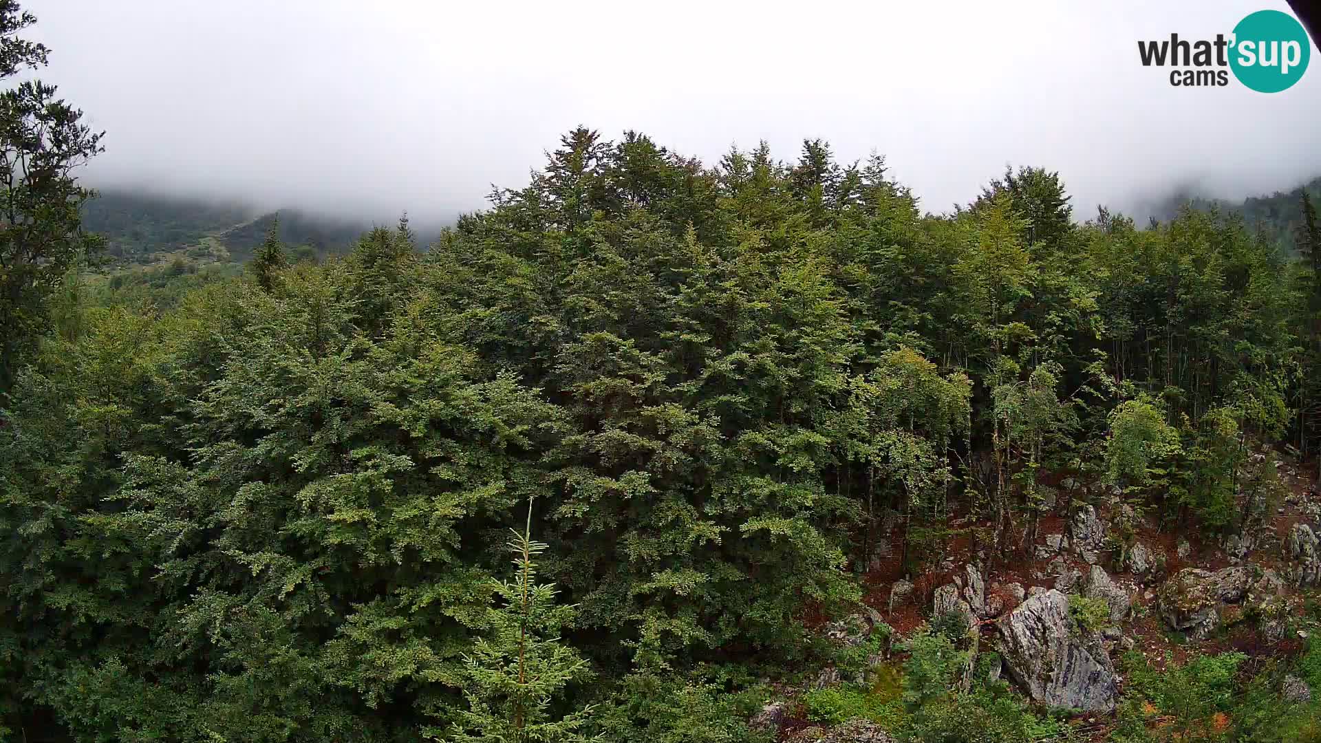 PLANINA RAZOR web kamera (1315) | pogled na Vogel i Globoko