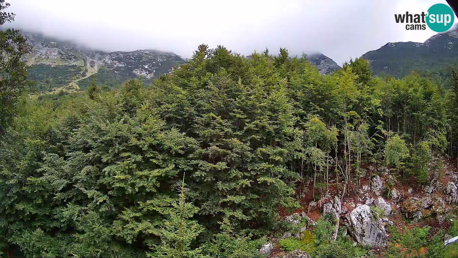 Webcam PLANINA RAZOR (1315) | Blick auf Vogel und Globoko
