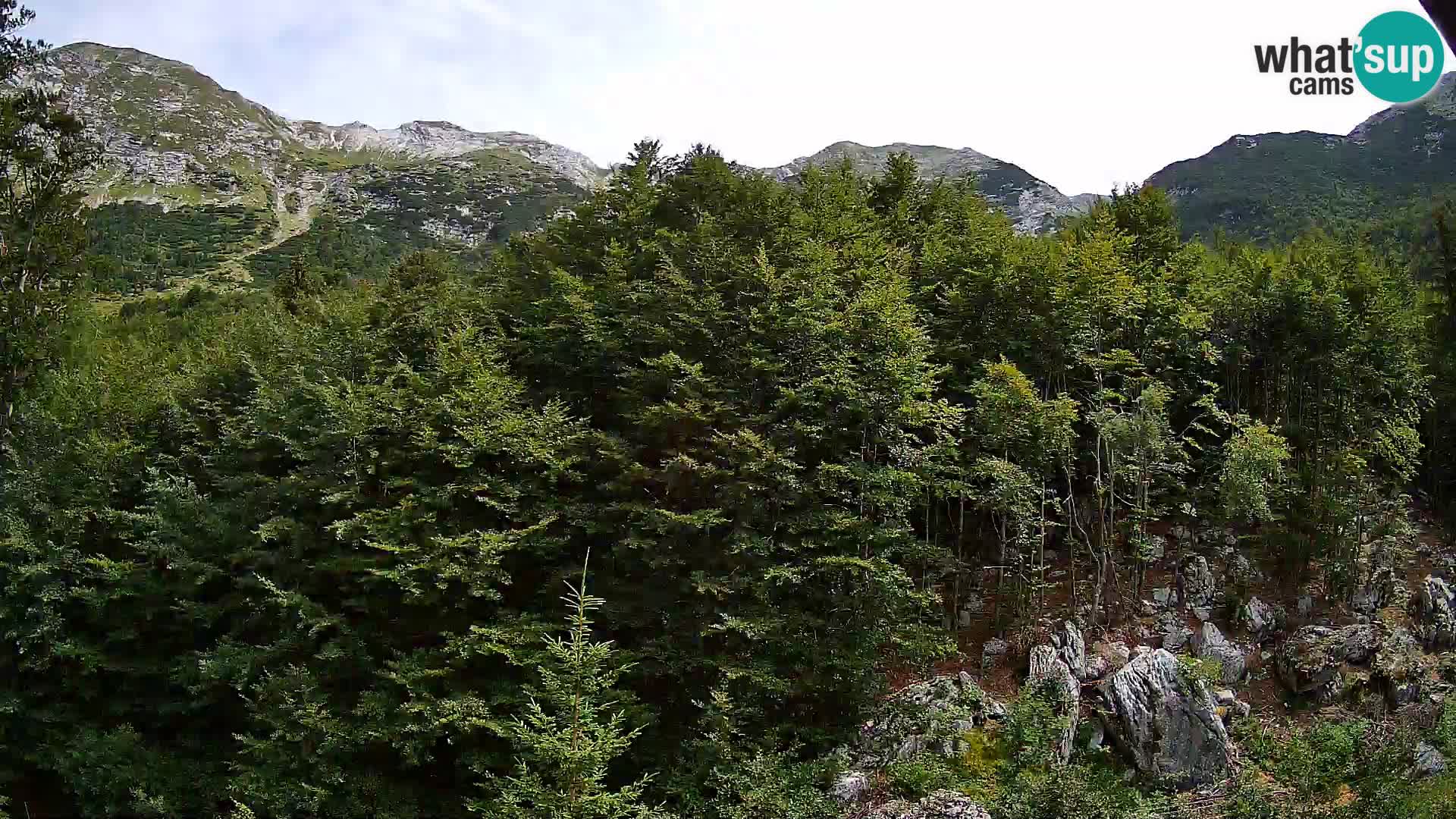 Cámara web PLANINA RAZOR (1315) | vista a Vogel y Globoko