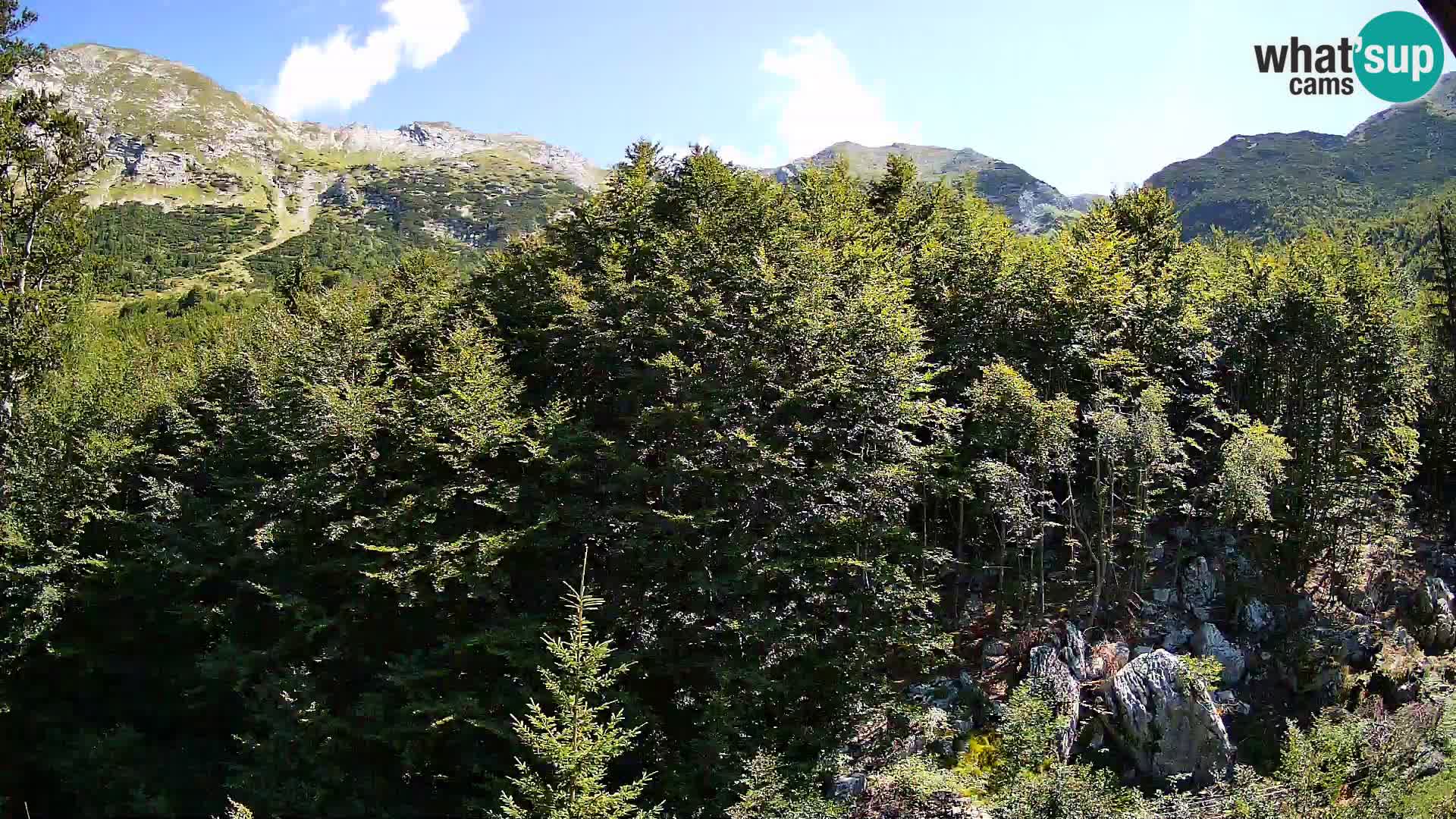 Livecam PLANINA RAZOR (1315) | vue sur Vogel et Globoko