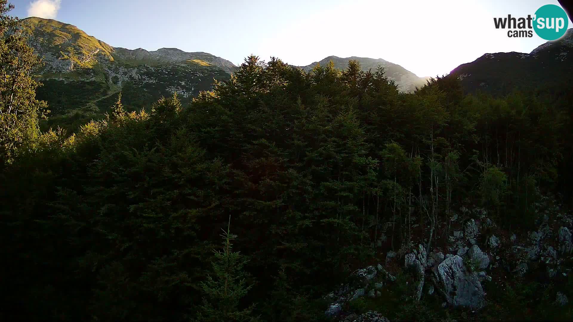 Webcam PLANINA RAZOR (1315) | Blick auf Vogel und Globoko