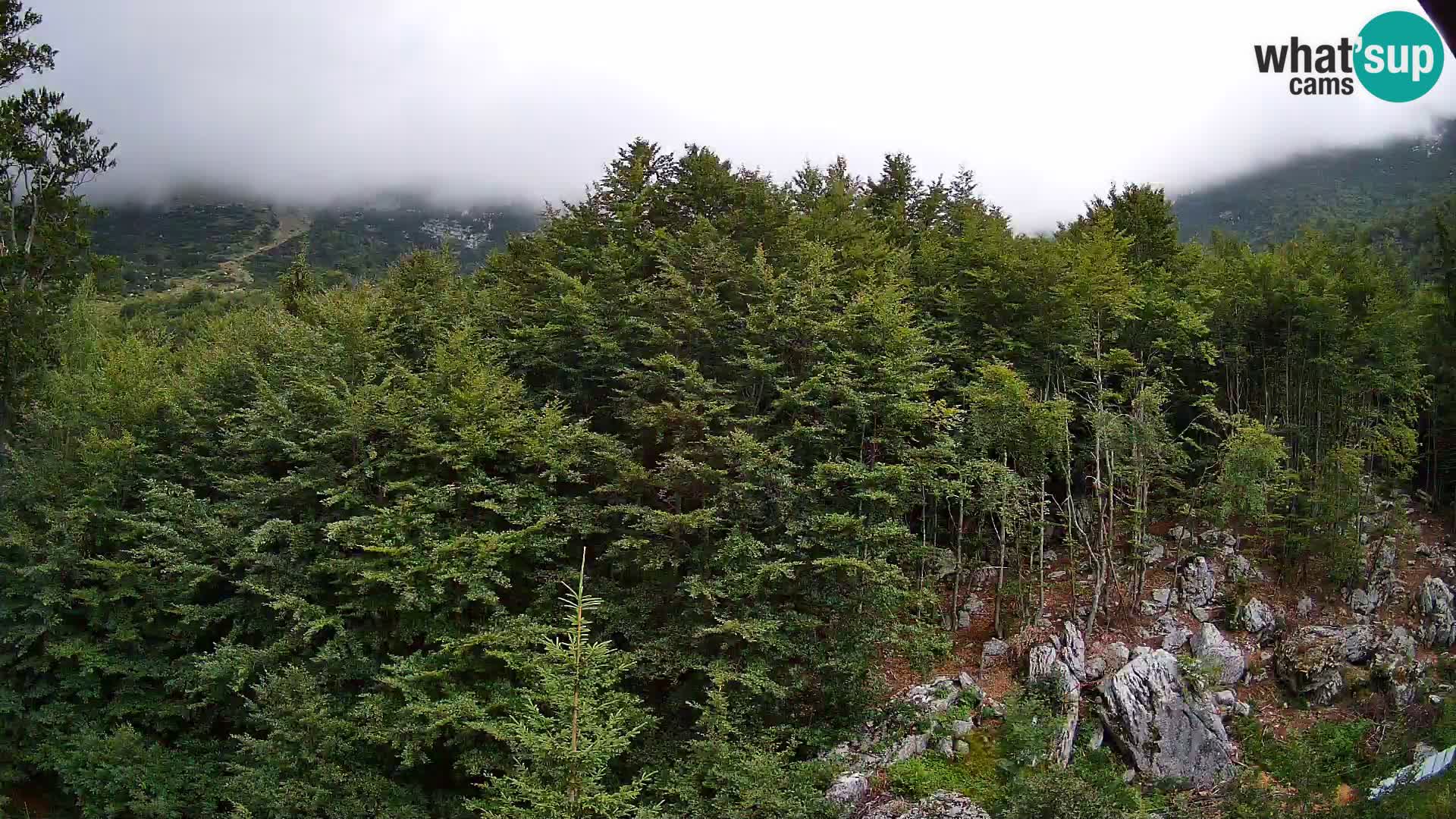 Livecam PLANINA RAZOR (1315) | vue sur Vogel et Globoko