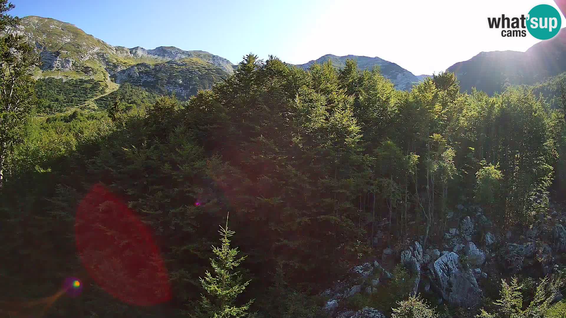 Livecam PLANINA RAZOR (1315) | vue sur Vogel et Globoko