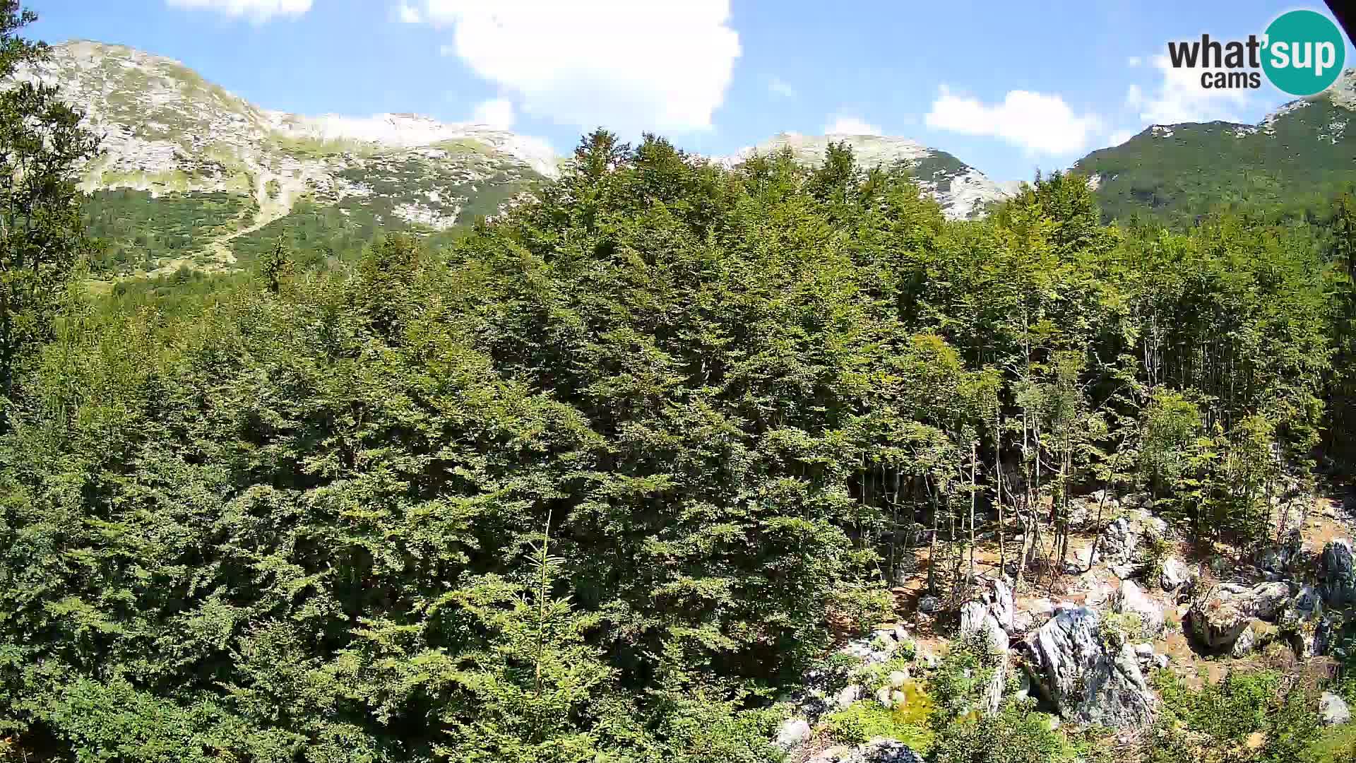 Webcam PLANINA RAZOR (1315) | Blick auf Vogel und Globoko
