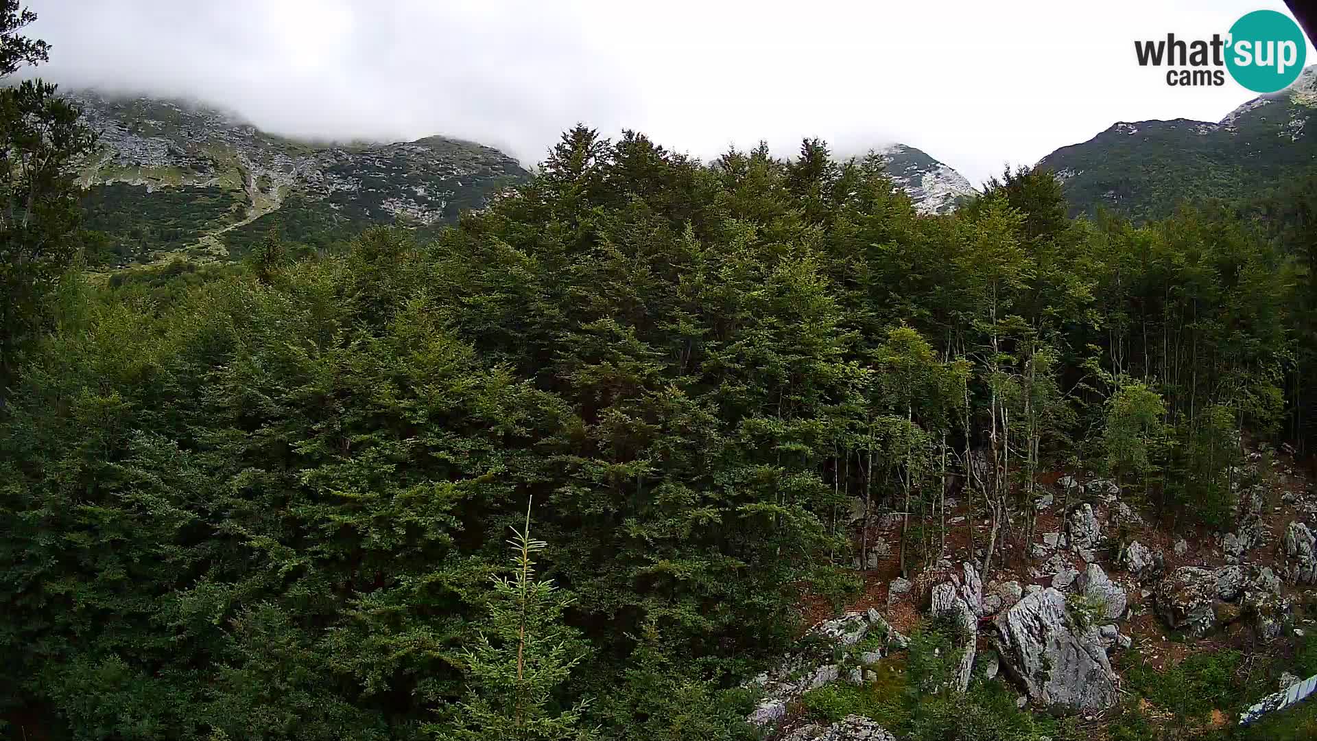 PLANINA RAZOR web kamera (1315) | pogled na Vogel i Globoko