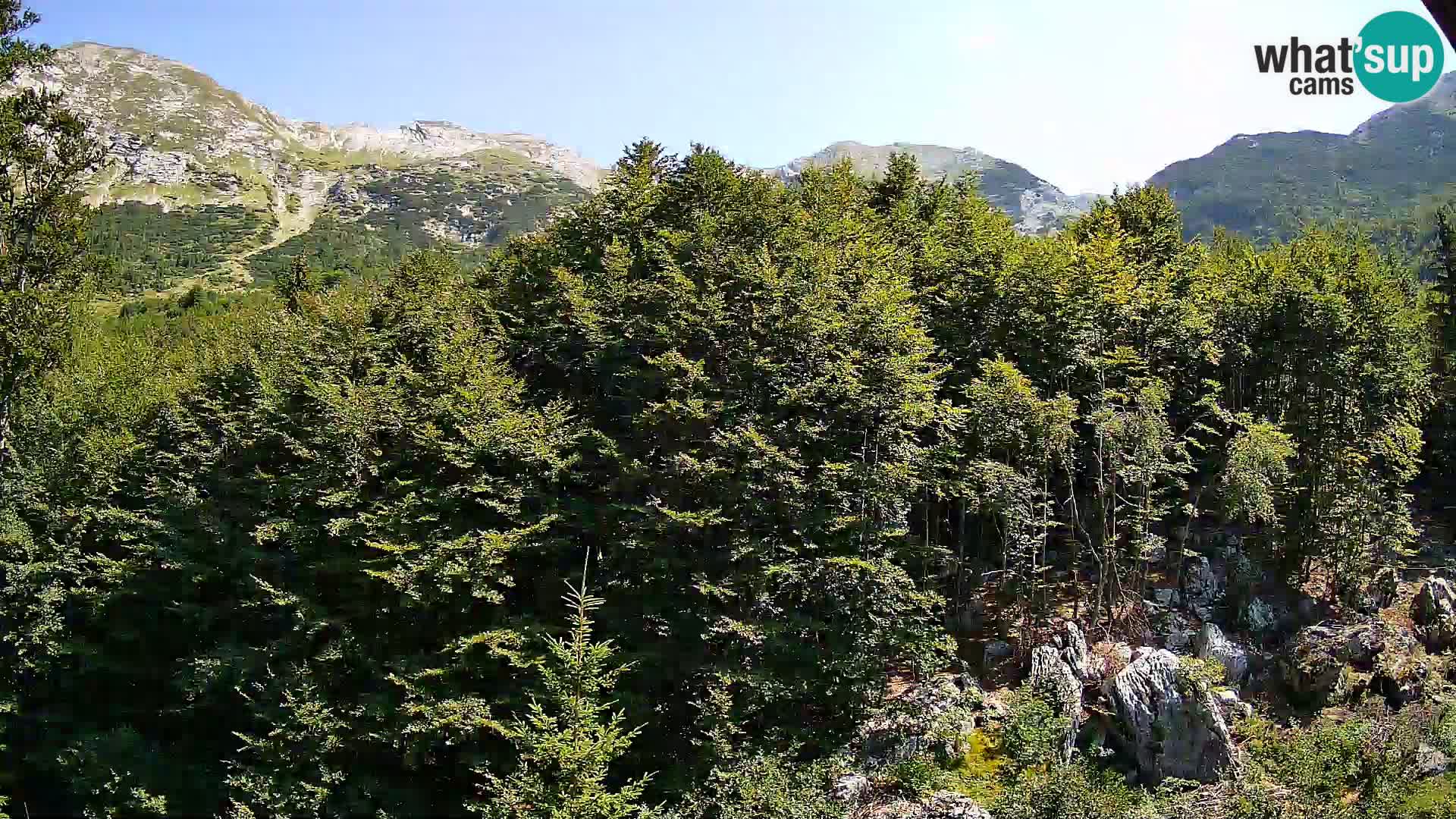Cámara web PLANINA RAZOR (1315) | vista a Vogel y Globoko