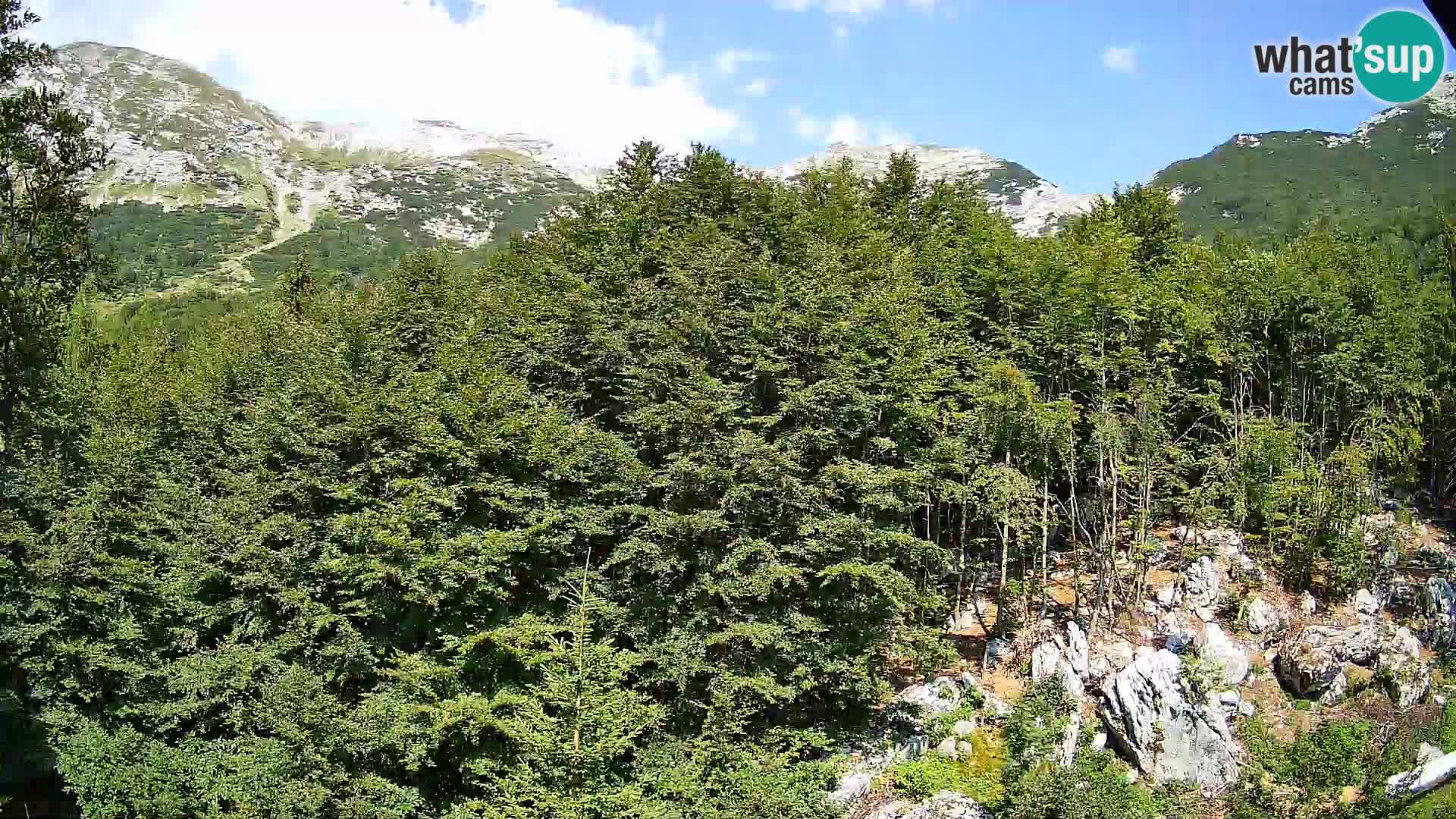 Webcam PLANINA RAZOR (1315) | Blick auf Vogel und Globoko