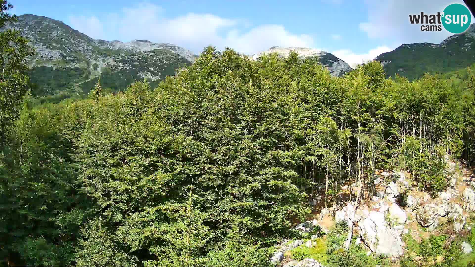 PLANINA RAZOR webcam (1315) | view to Vogel and Globoko