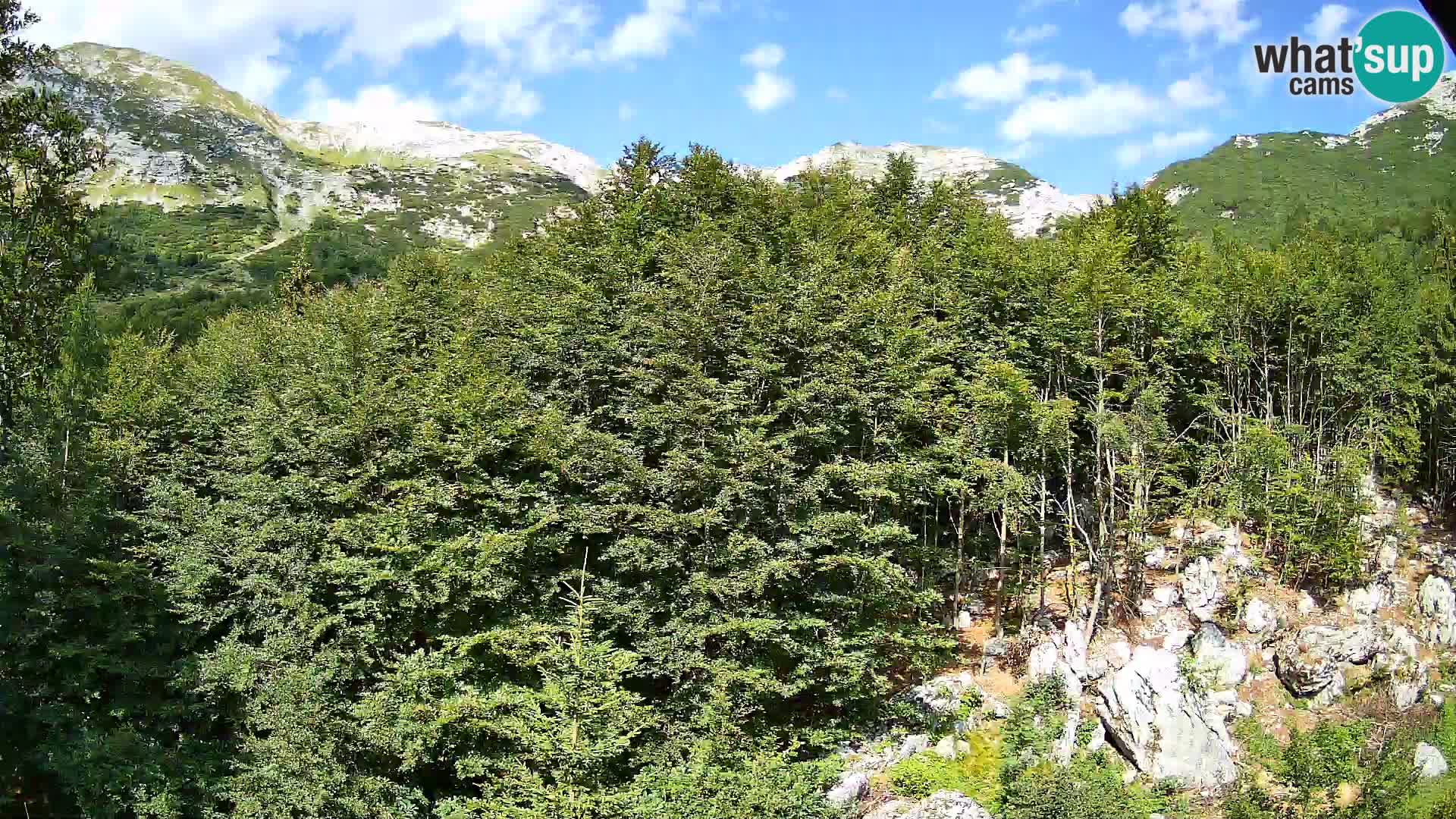 PLANINA RAZOR webcam (1315) | view to Vogel and Globoko