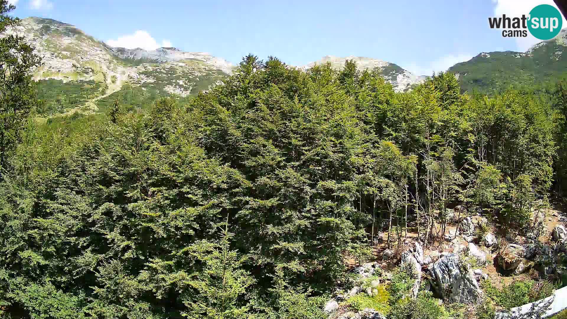 Livecam PLANINA RAZOR (1315) | vue sur Vogel et Globoko
