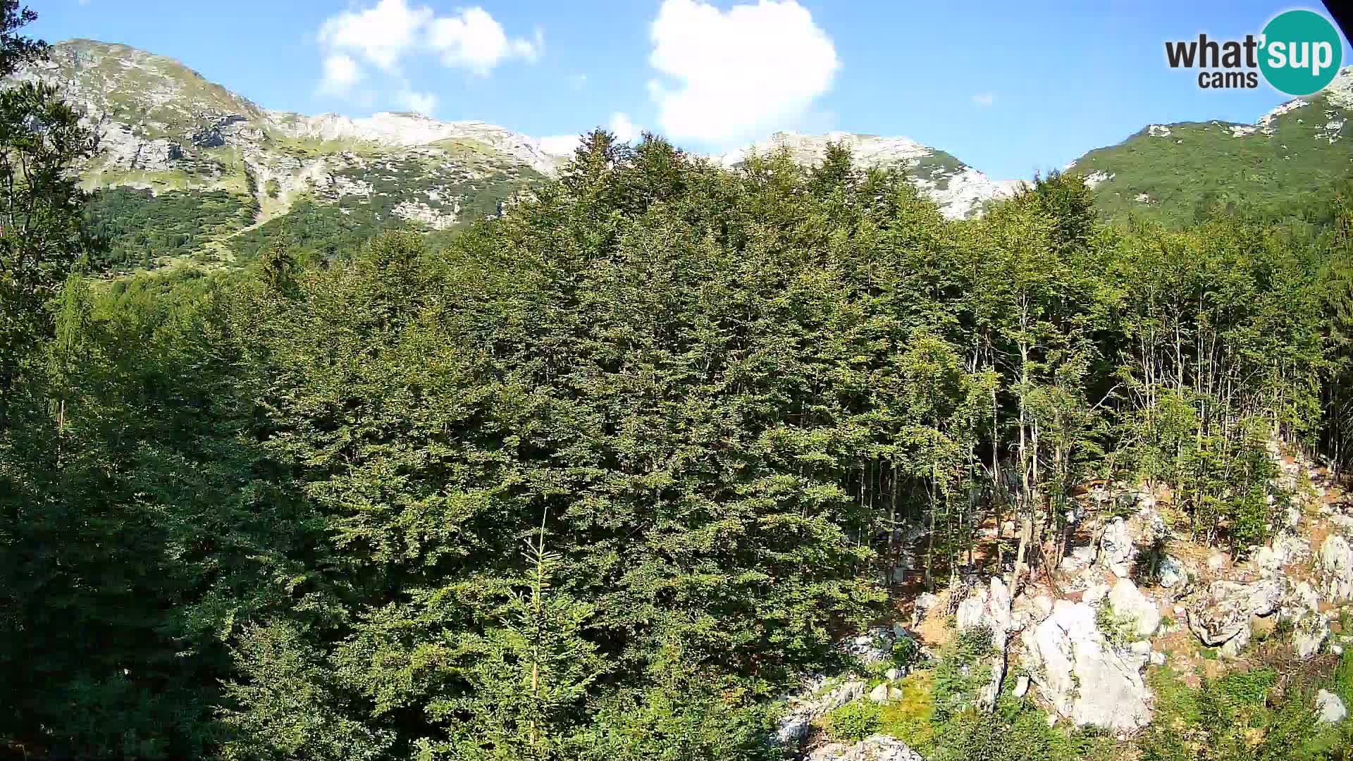 Livecam PLANINA RAZOR (1315) | vue sur Vogel et Globoko