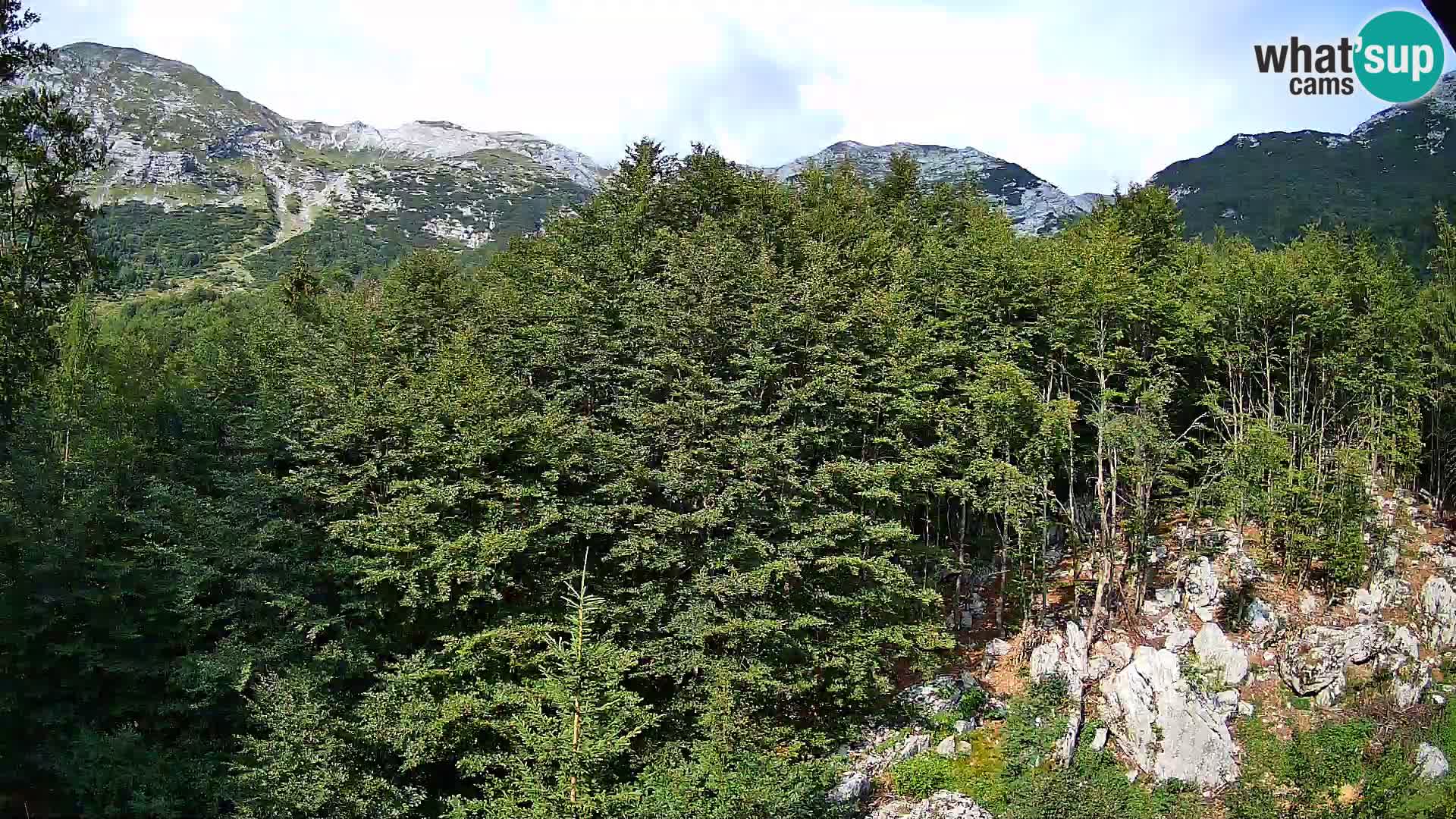 PLANINA RAZOR Live Cam (1315) | vista su Vogel e Globoko