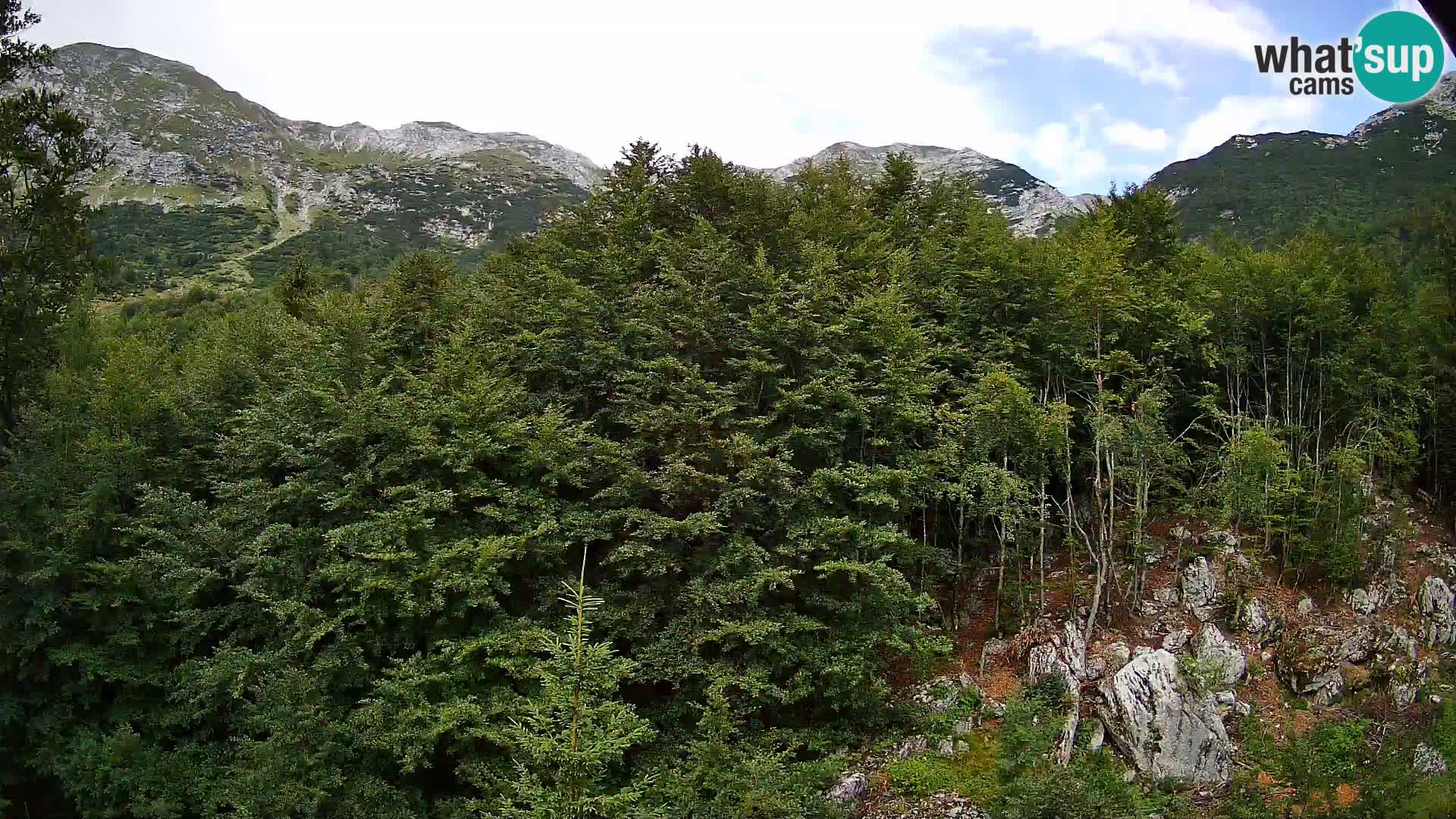 Livecam PLANINA RAZOR (1315) | vue sur Vogel et Globoko