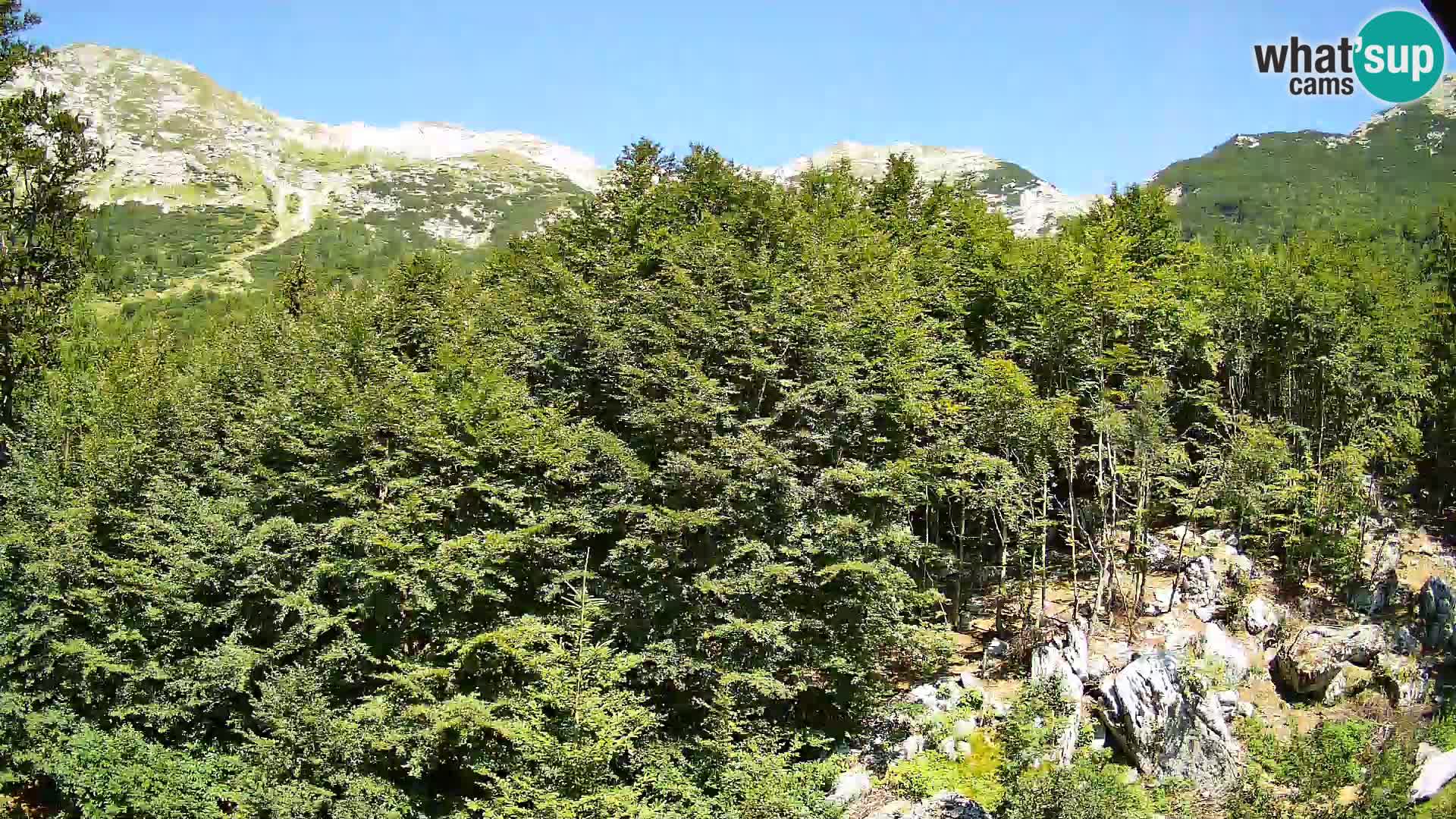 Webcam PLANINA RAZOR (1315) | Blick auf Vogel und Globoko
