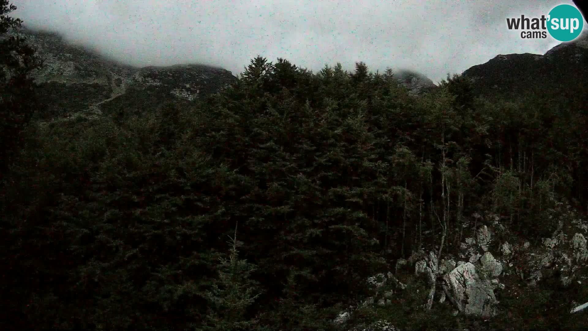 PLANINA RAZOR Live Cam (1315) | vista su Vogel e Globoko