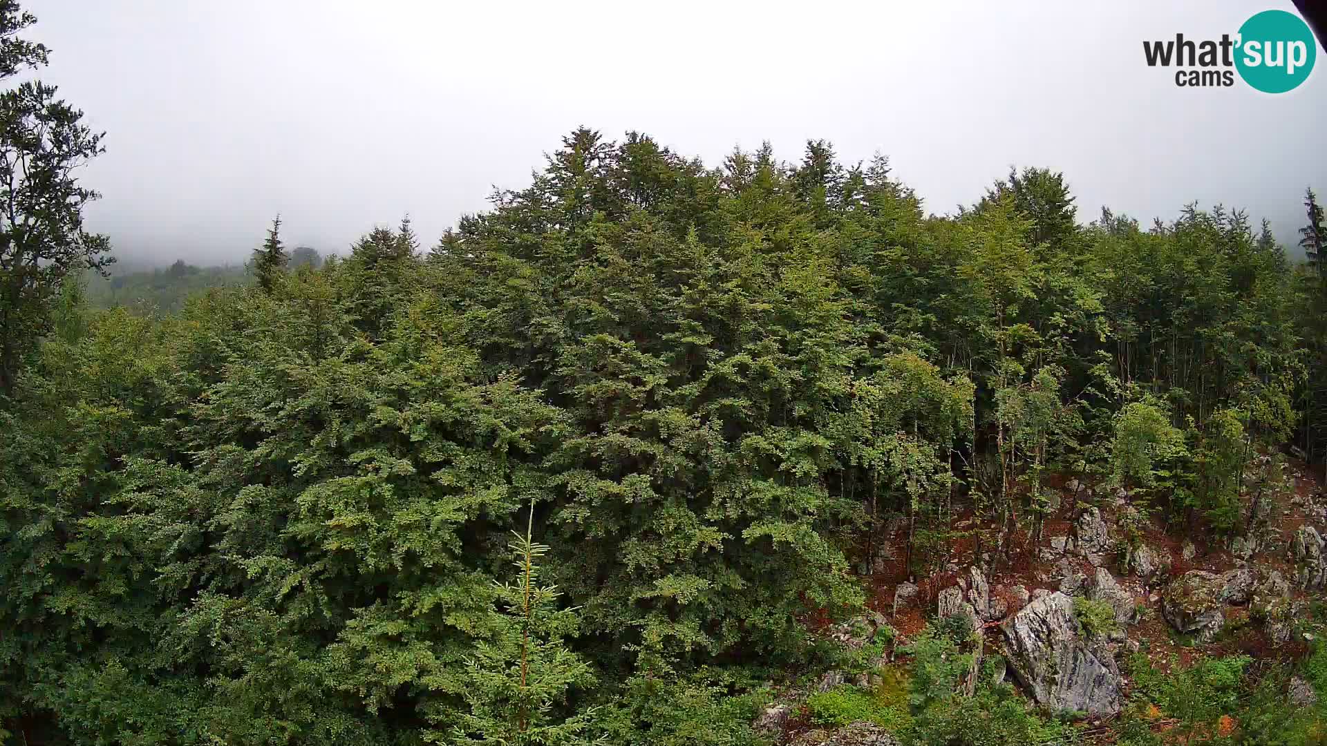 PLANINA RAZOR webcam (1315) | view to Vogel and Globoko