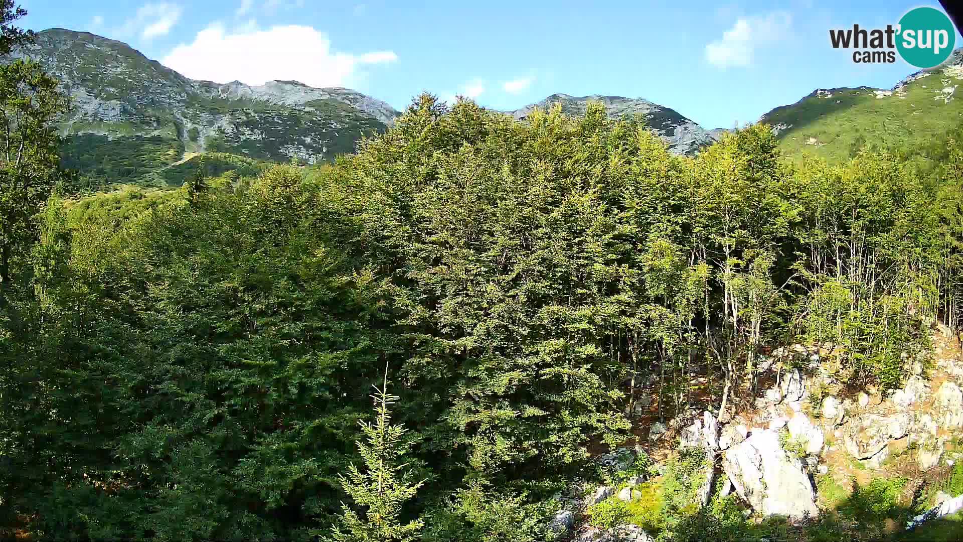 PLANINA RAZOR Live Cam (1315) | vista su Vogel e Globoko