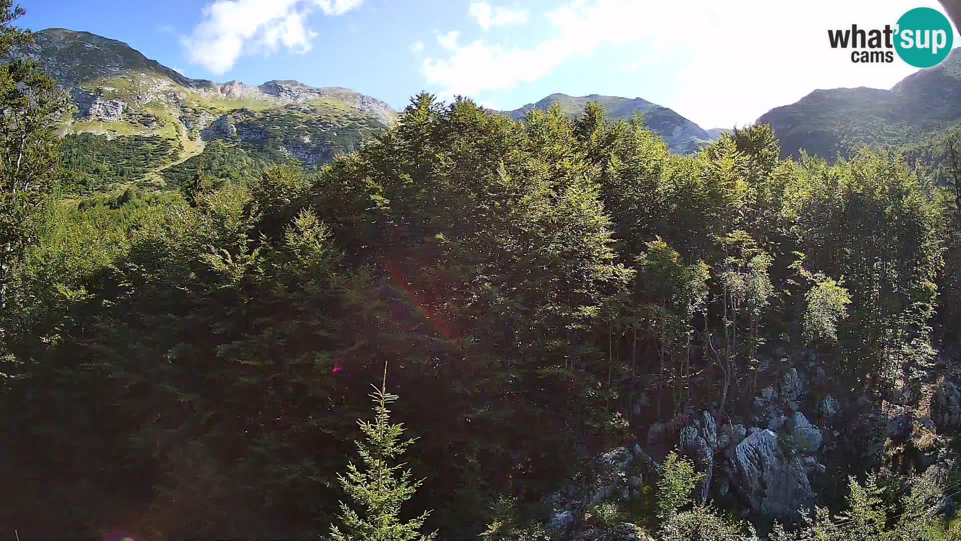 Livecam PLANINA RAZOR (1315) | vue sur Vogel et Globoko
