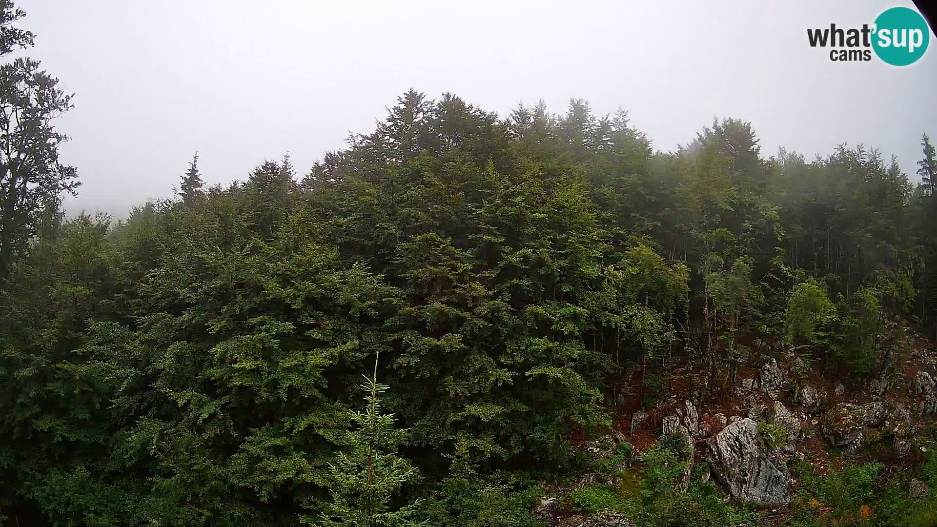 Livecam PLANINA RAZOR (1315) | vue sur Vogel et Globoko