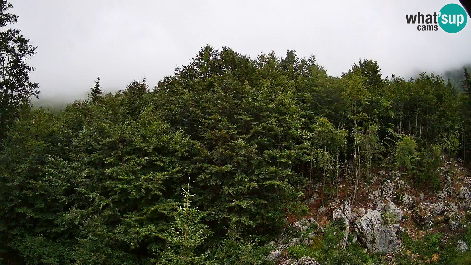 Livecam PLANINA RAZOR (1315) | vue sur Vogel et Globoko