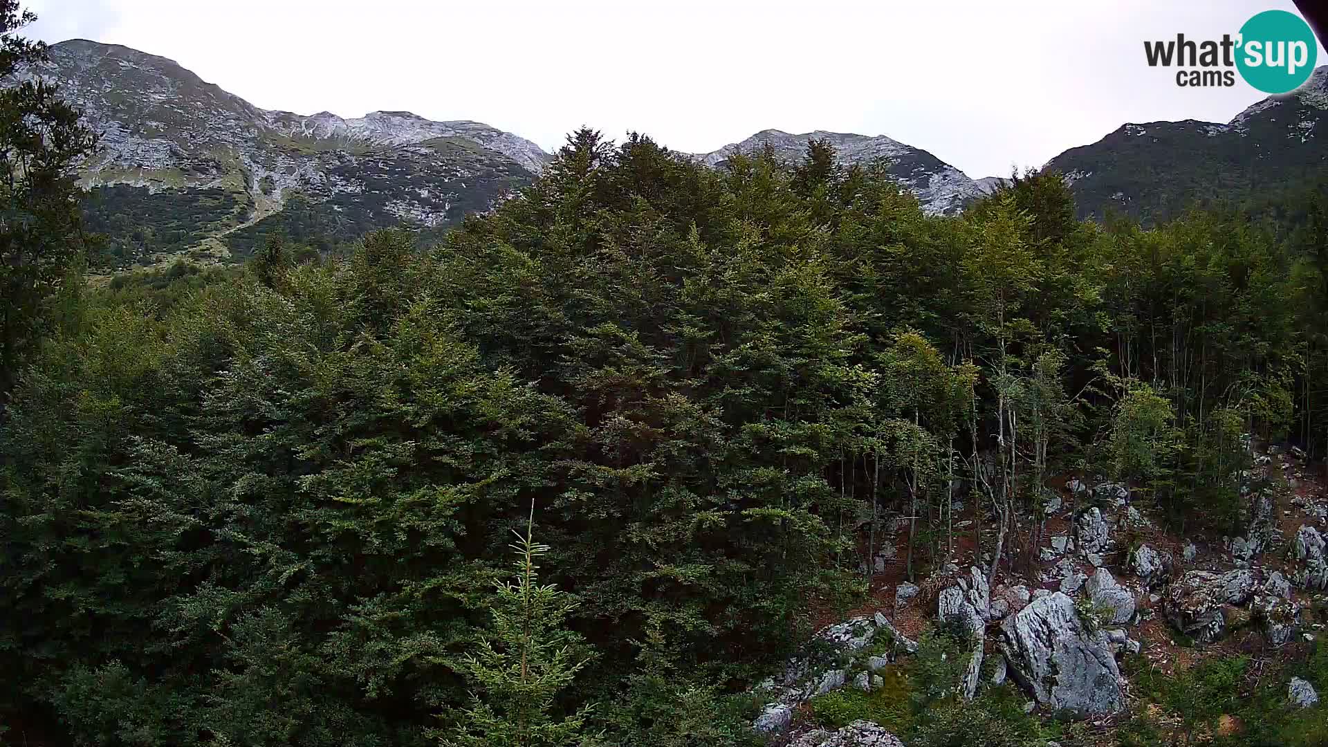 Webcam PLANINA RAZOR (1315) | Blick auf Vogel und Globoko