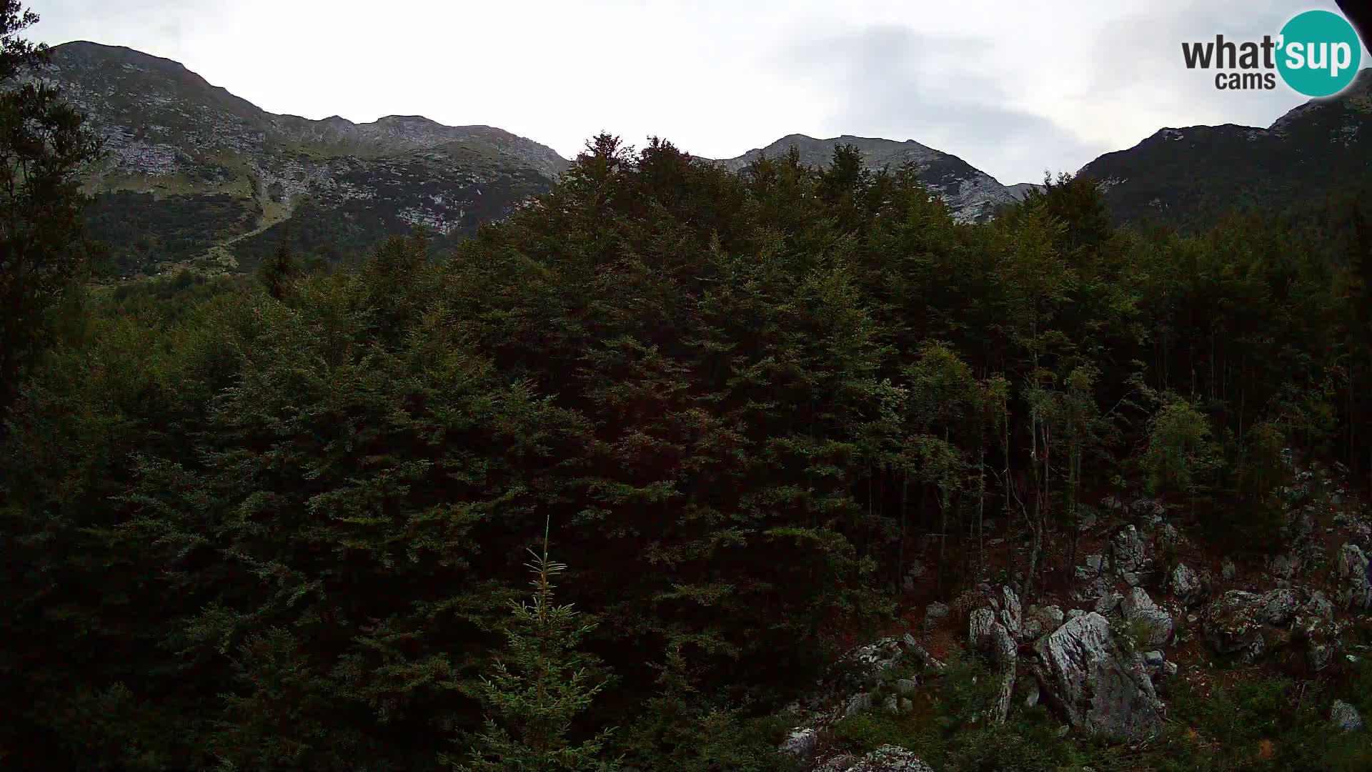 PLANINA RAZOR Live Cam (1315) | vista su Vogel e Globoko